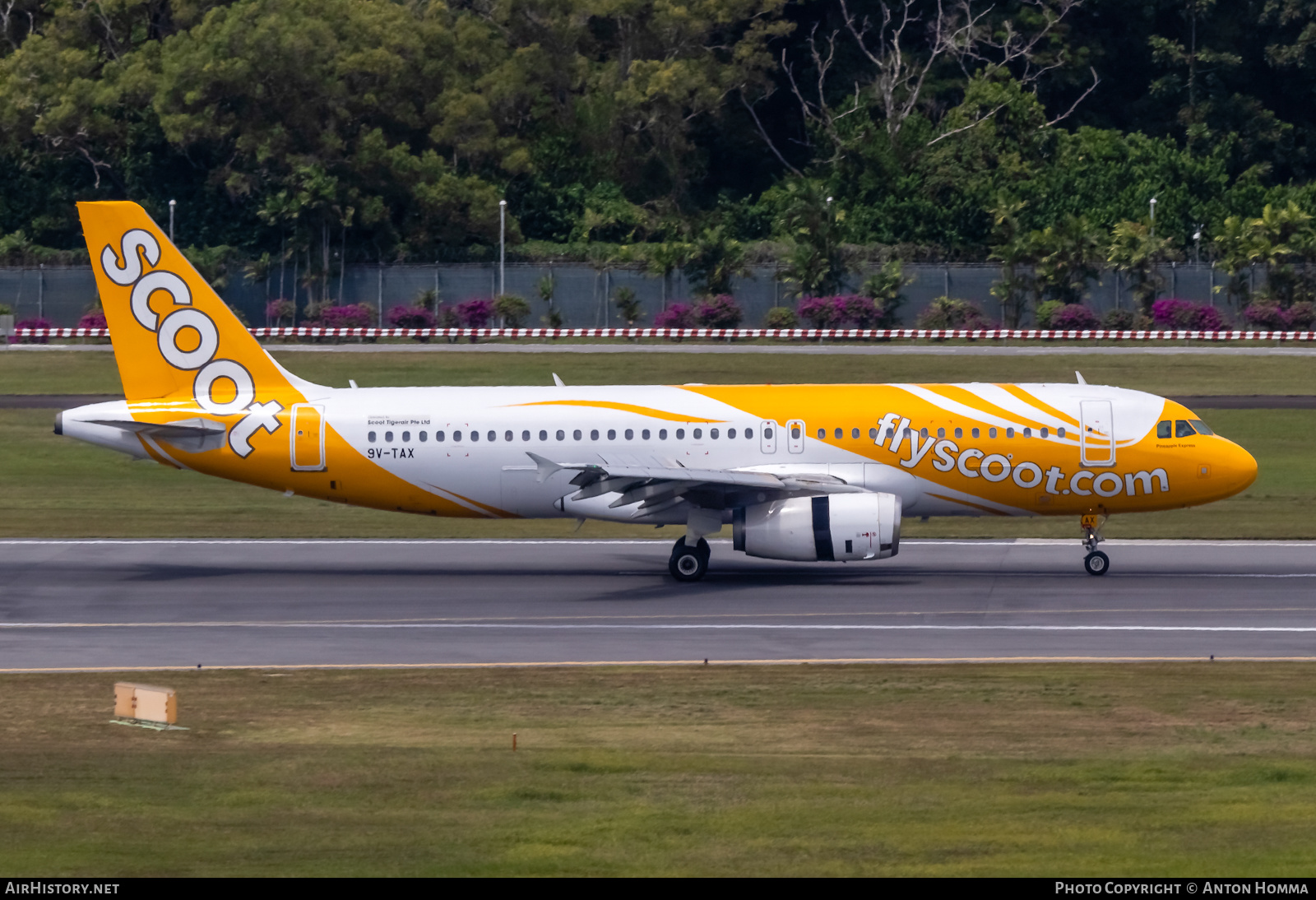 Aircraft Photo of 9V-TAX | Airbus A320-232 | Scoot | AirHistory.net #278137
