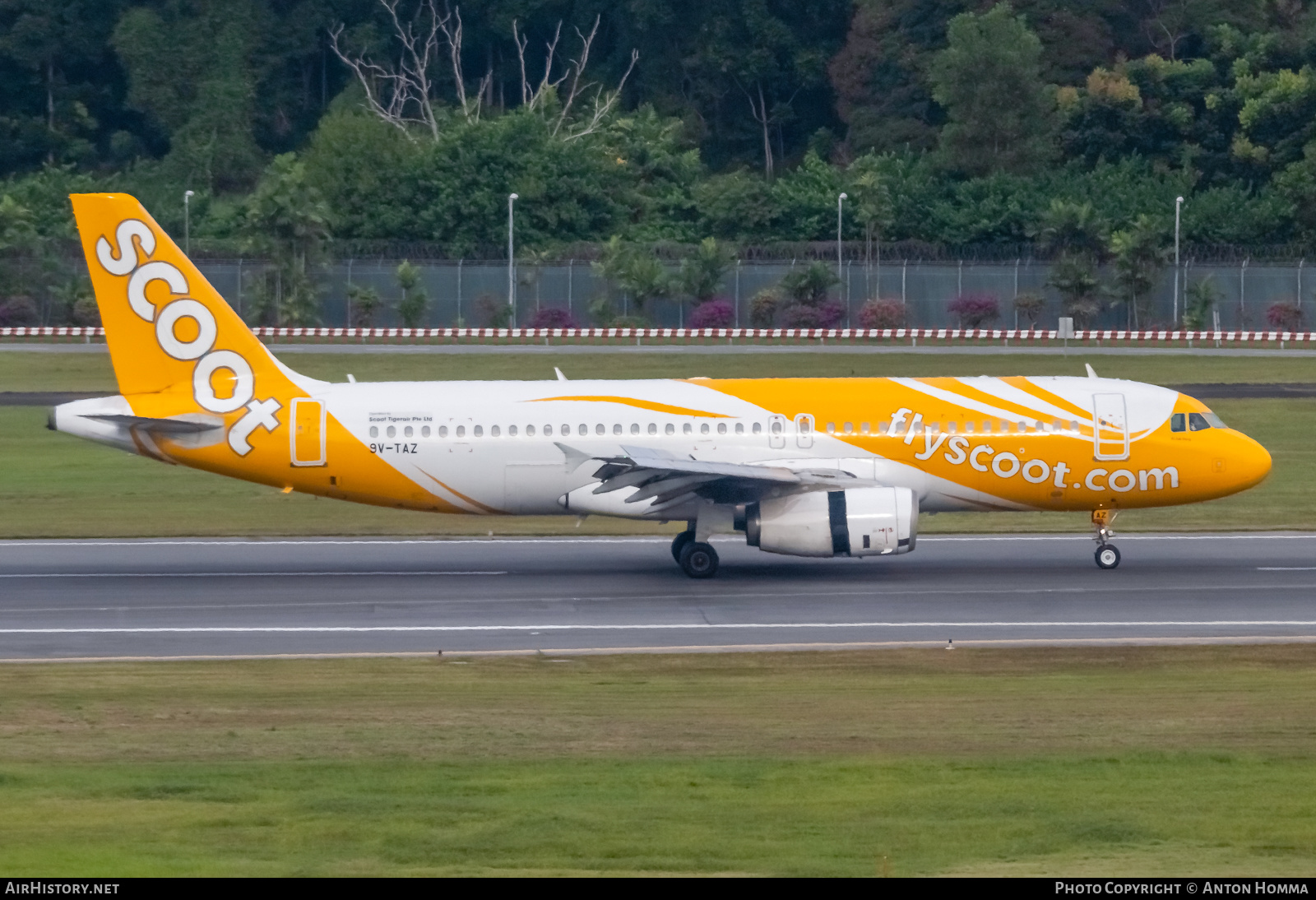 Aircraft Photo of 9V-TAZ | Airbus A320-232 | Scoot | AirHistory.net #278187