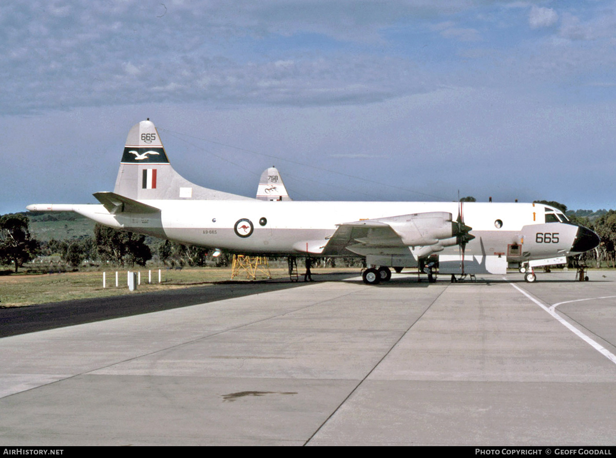 Aircraft Photo of A9-665 | Lockheed P-3C Orion | Australia - Air Force | AirHistory.net #278436