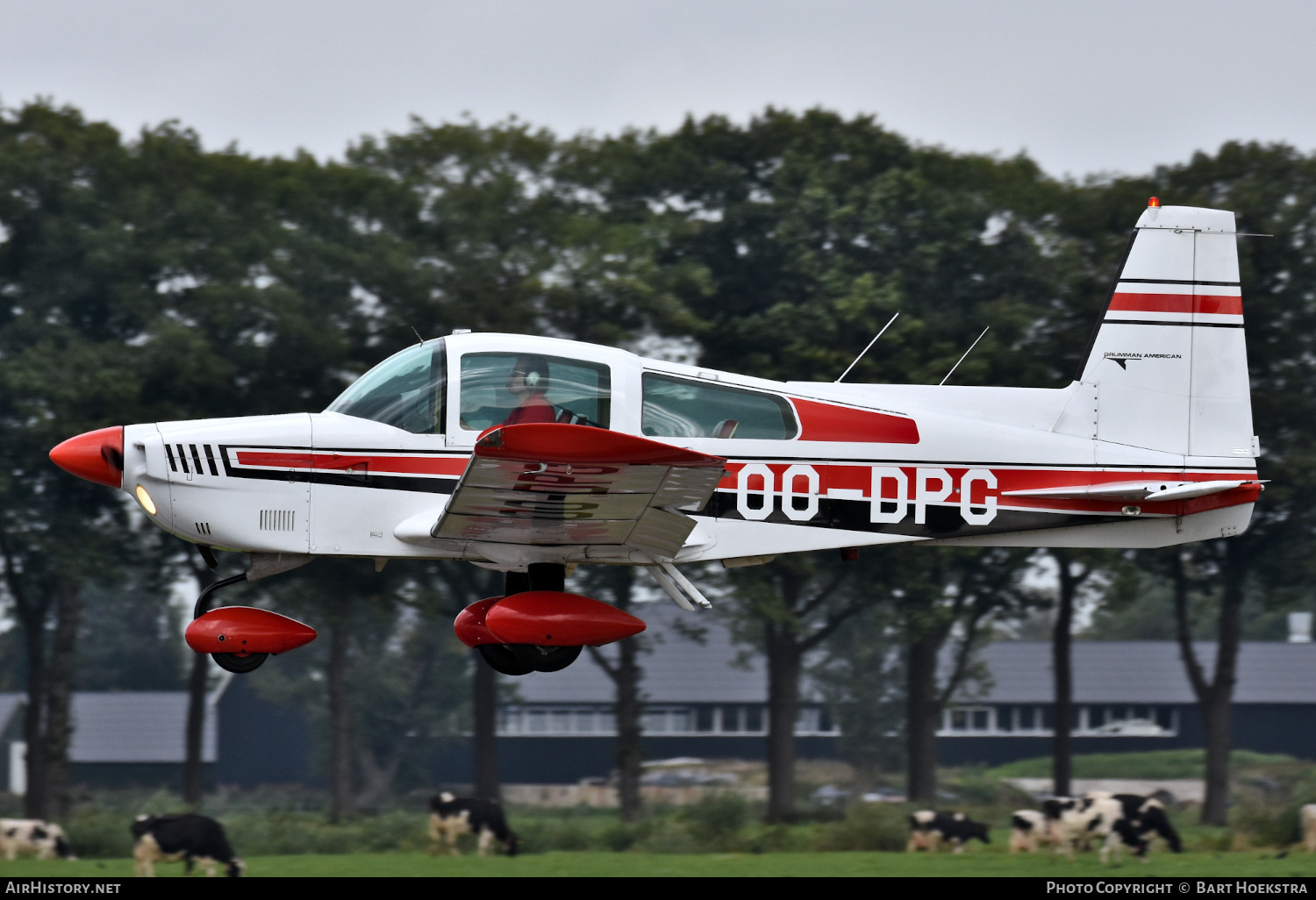 Aircraft Photo of OO-DPG | Grumman American AA-5 Traveler | AirHistory.net #279199