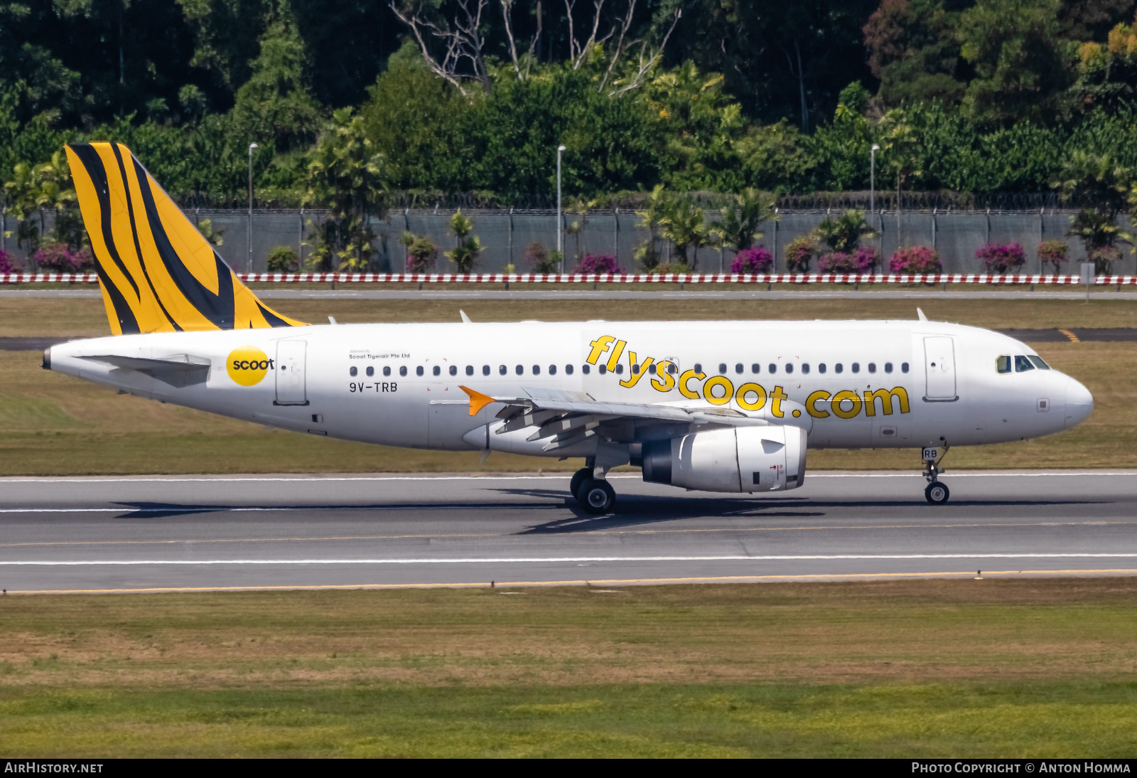 Aircraft Photo of 9V-TRB | Airbus A319-132 | Scoot | AirHistory.net #279529