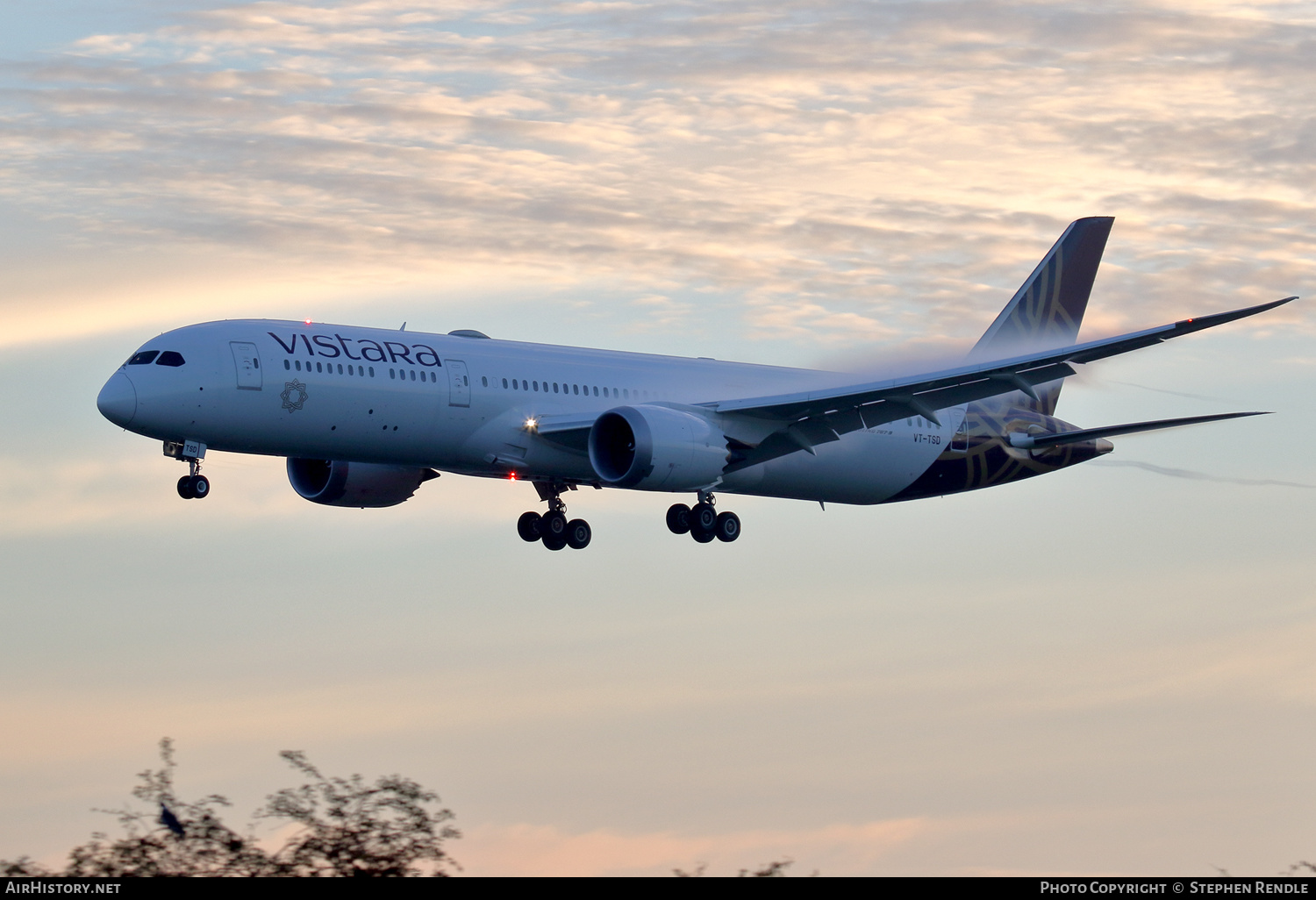 Aircraft Photo of VT-TSD | Boeing 787-9 Dreamliner | Vistara | AirHistory.net #282373