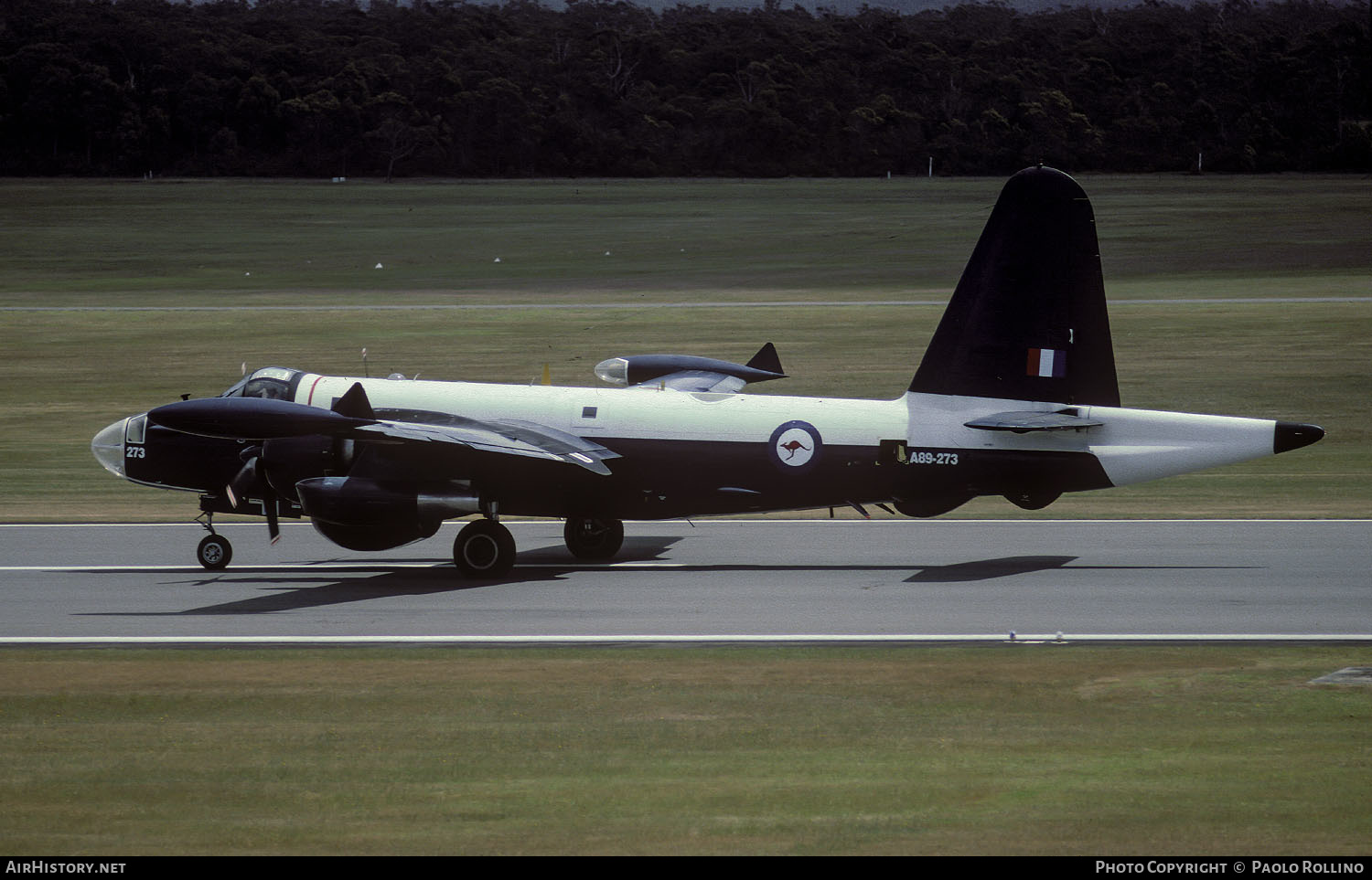 Aircraft Photo of A89-273 | Lockheed P2V-7 Neptune | Australia - Air Force | AirHistory.net #284281