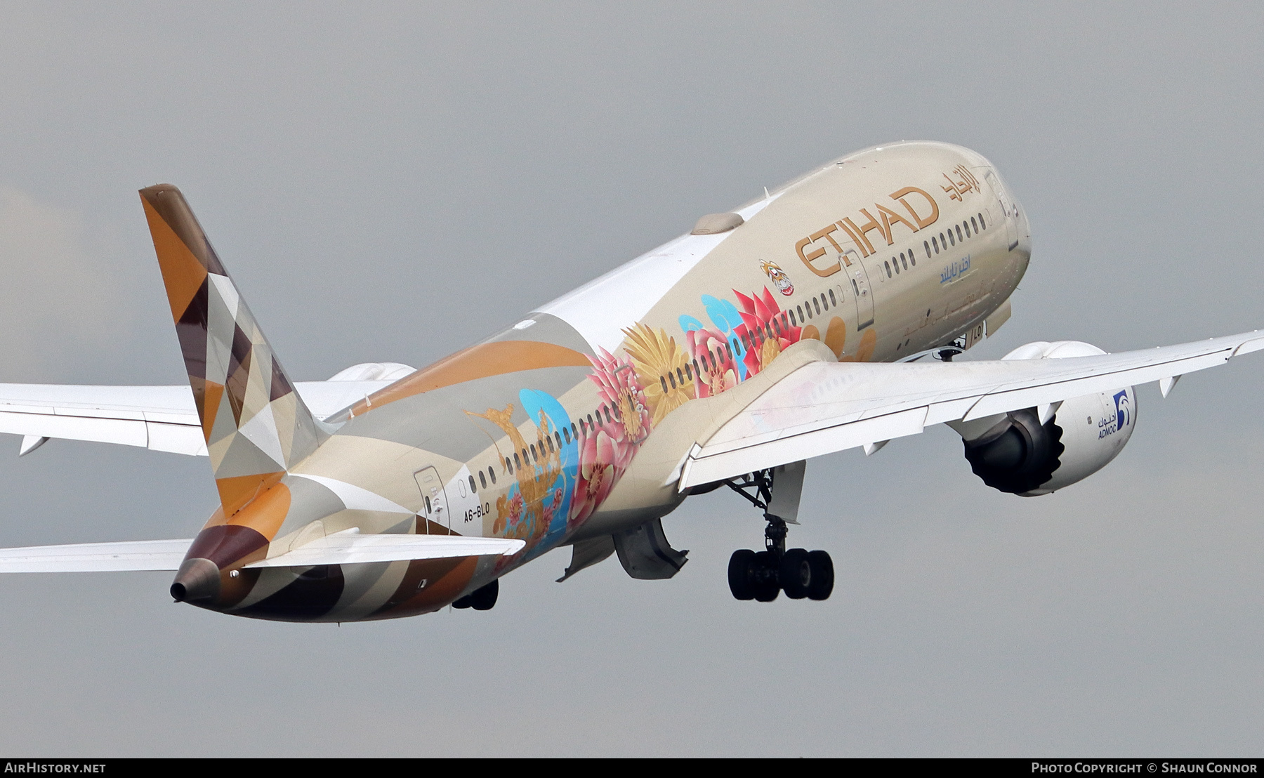 Aircraft Photo of A6-BLO | Boeing 787-9 Dreamliner | Etihad Airways | AirHistory.net #285049