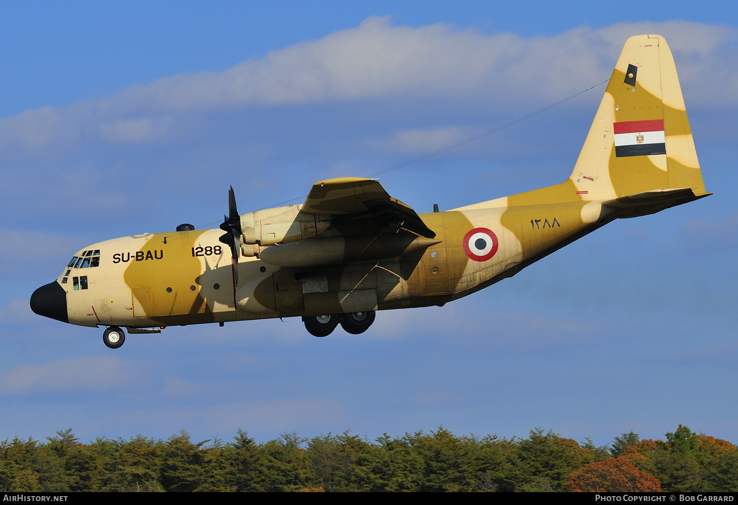 Aircraft Photo of 1288 / ۱۲۸۸ | Lockheed C-130H Hercules | Egypt - Air Force | AirHistory.net #285167