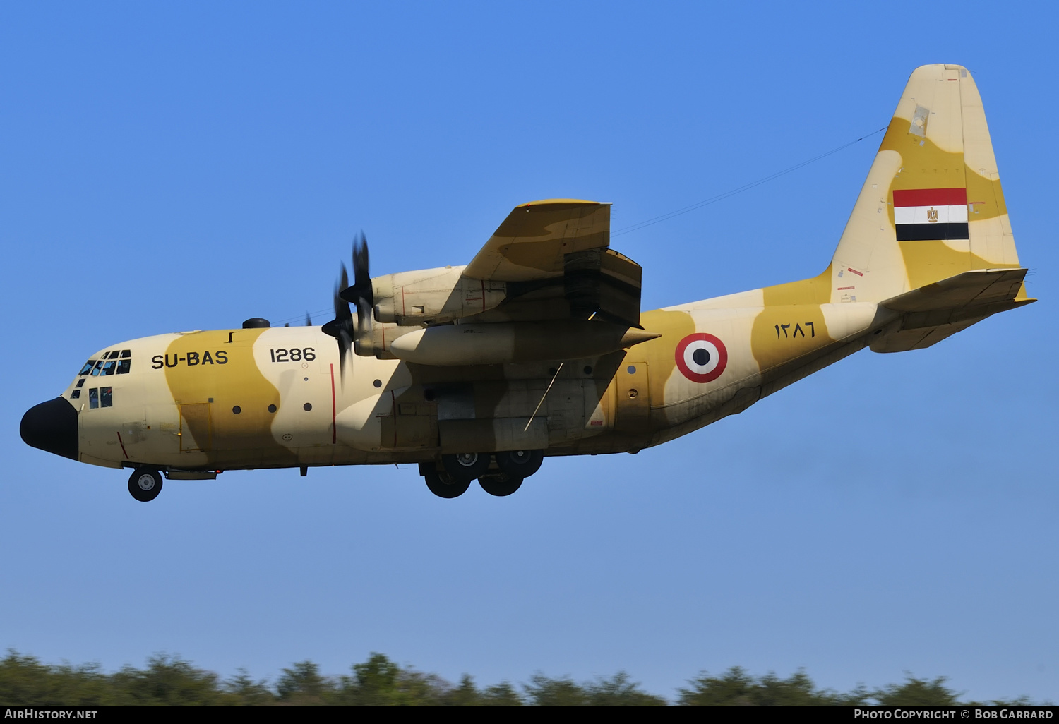 Aircraft Photo of 1286 / ۱۲۸٦ | Lockheed C-130H Hercules | Egypt - Air Force | AirHistory.net #285424