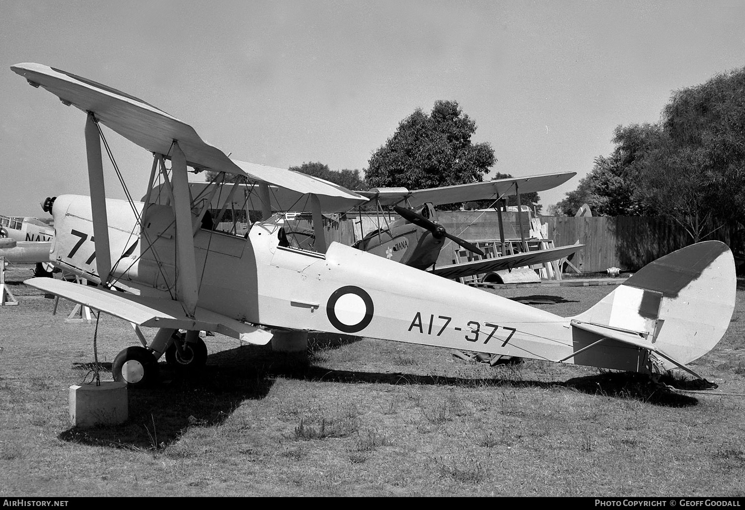 Aircraft Photo of A17-377 | De Havilland D.H. 82A Tiger Moth | Australia - Air Force | AirHistory.net #285438