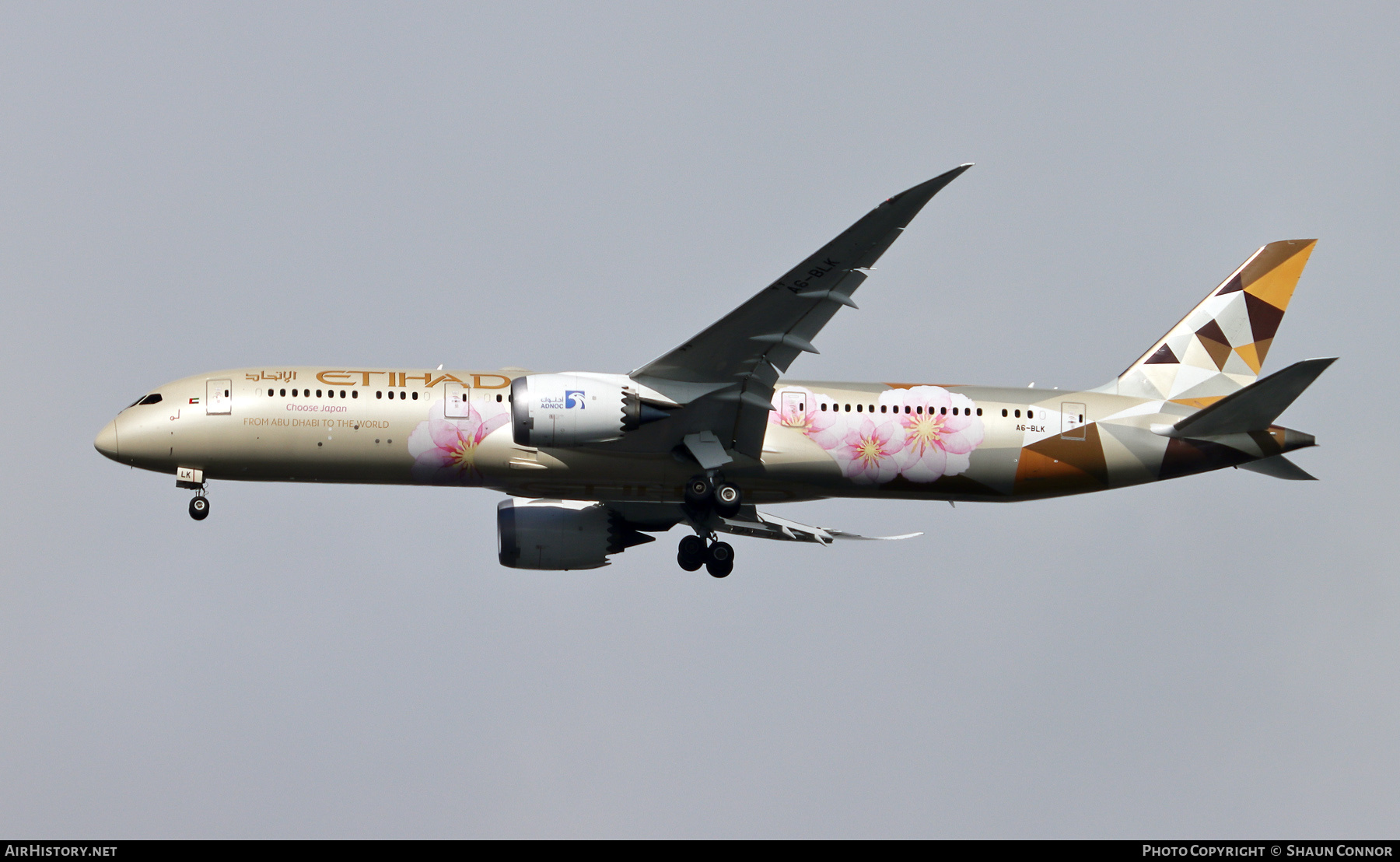 Aircraft Photo of A6-BLK | Boeing 787-9 Dreamliner | Etihad Airways | AirHistory.net #286101