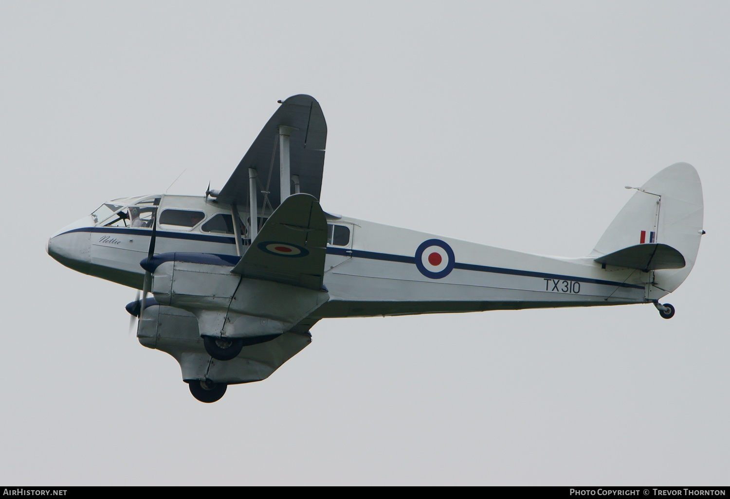 Aircraft Photo of G-AIDL / TX310 | De Havilland D.H. 89A Dragon Rapide | UK - Air Force | AirHistory.net #289330