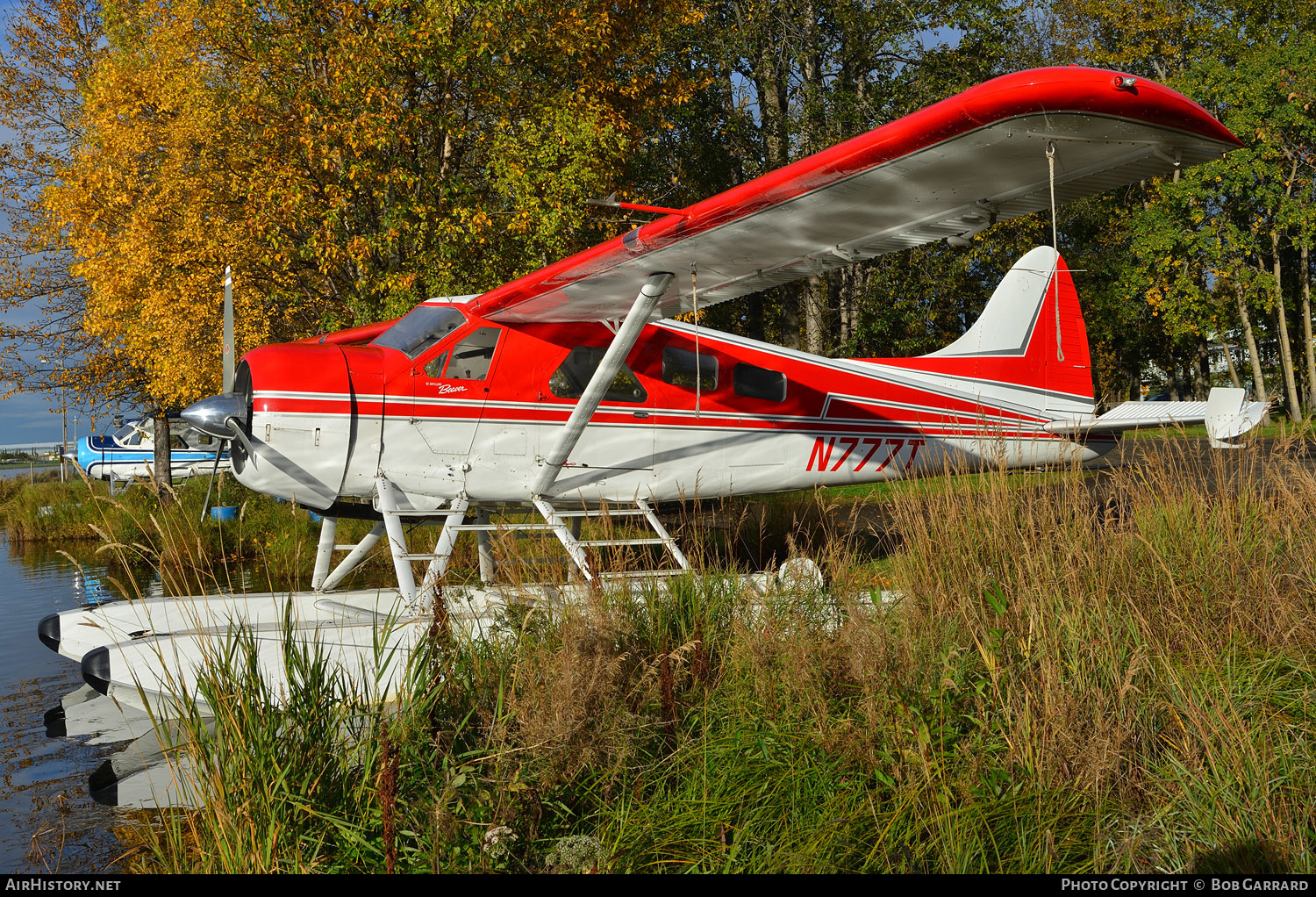 Aircraft Photo of N777T | De Havilland Canada DHC-2 Beaver Mk1 | AirHistory.net #291450