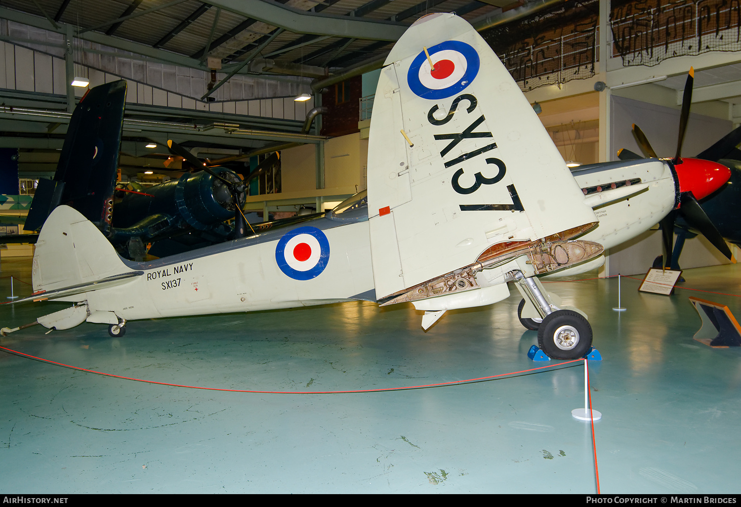 Aircraft Photo of SX137 | Supermarine 395 Seafire F17 | UK - Navy | AirHistory.net #293143