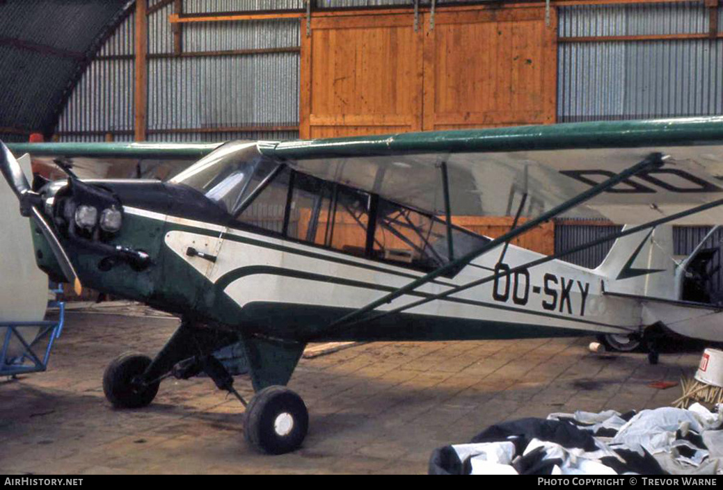 Aircraft Photo of OO-SKY | Piper L-4J Grasshopper (J-3C-65D) | AirHistory.net #293465