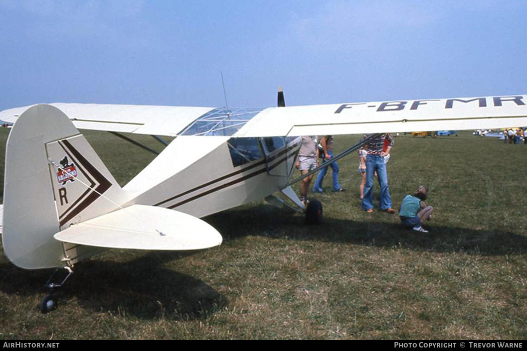 Aircraft Photo of F-BFMR | Piper PA-17 Vagabond | AirHistory.net #293502