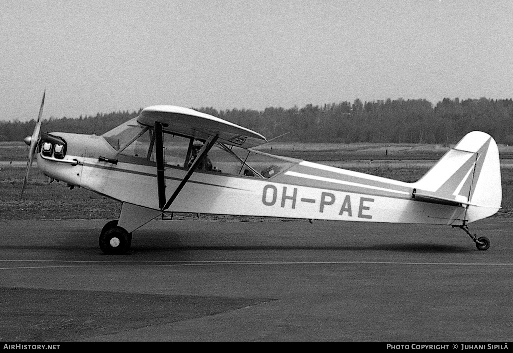 Aircraft Photo of OH-PAE | Piper J-3C-65 Cub | AirHistory.net #294610