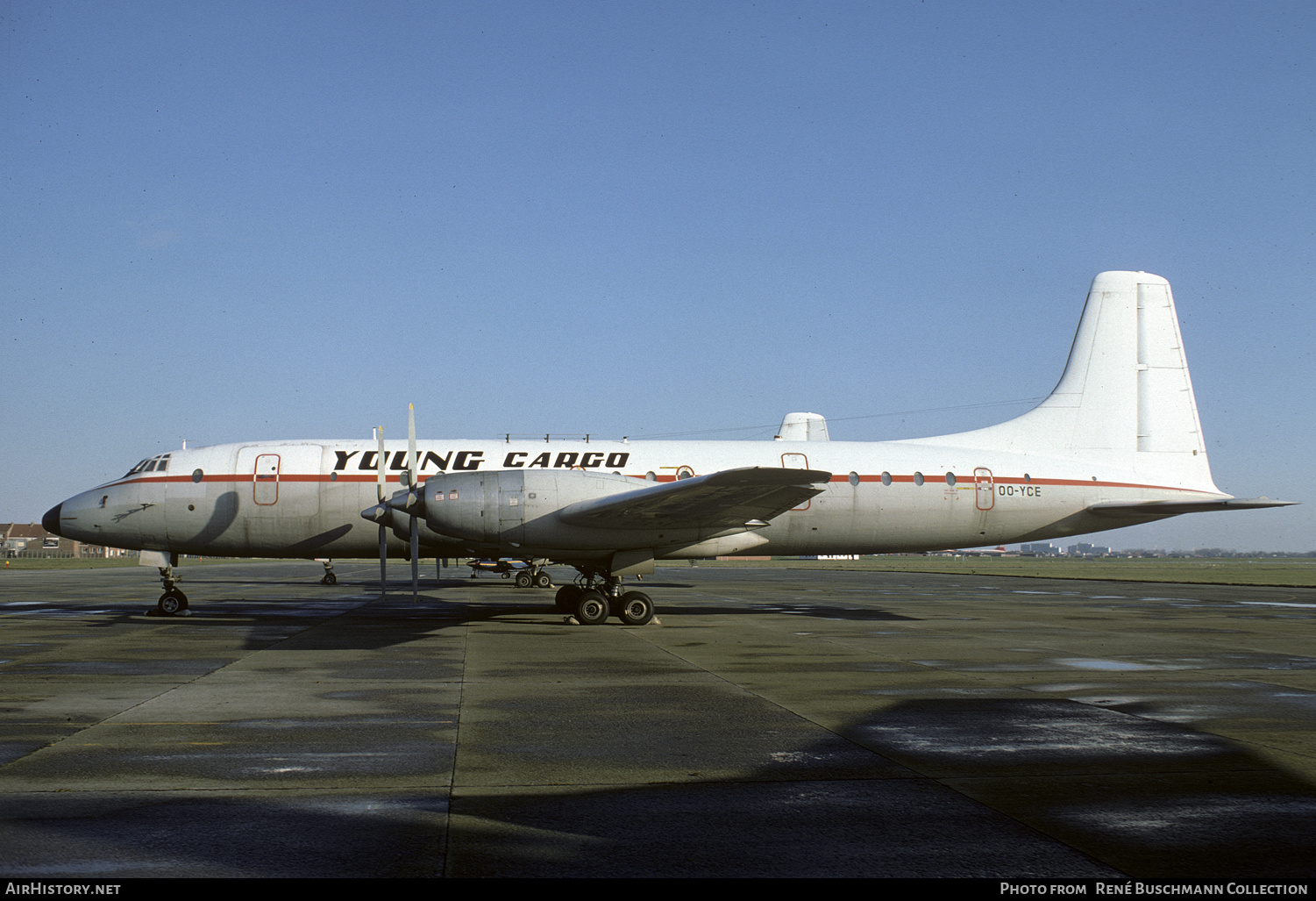Aircraft Photo of OO-YCE | Bristol 175 Britannia 253F | Young Cargo | AirHistory.net #294795