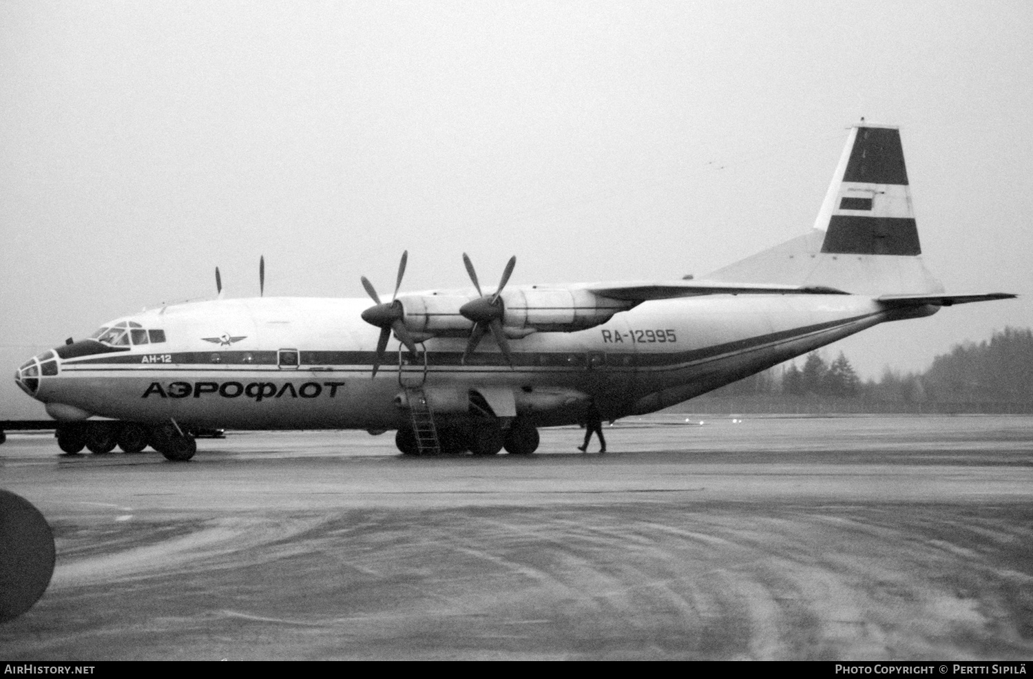 Aircraft Photo of RA-12995 | Antonov An-12B | Aeroflot | AirHistory.net #296638