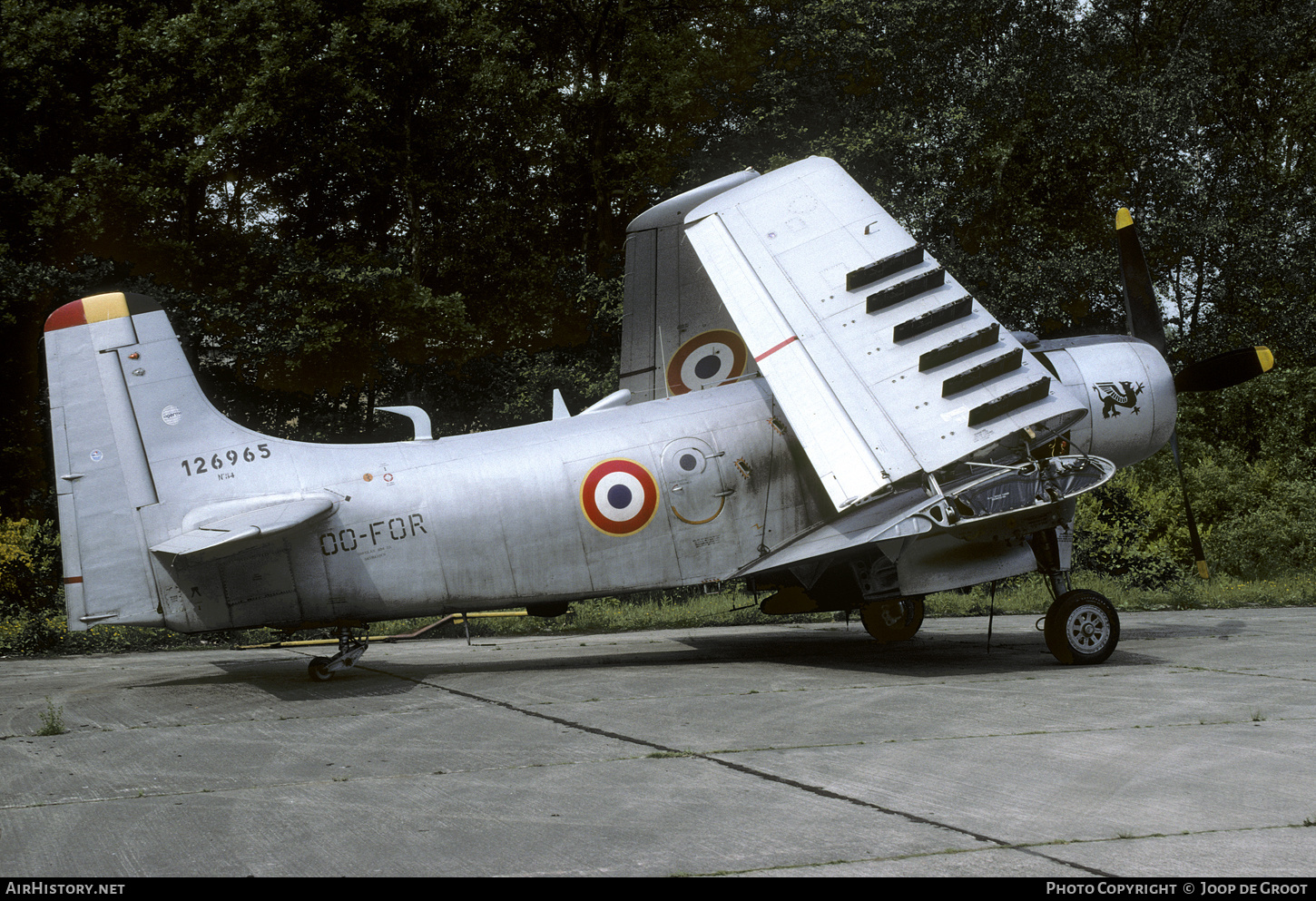 Aircraft Photo of OO-FOR / 126965 | Douglas A-1D Skyraider (AD-4NA) | France - Air Force | AirHistory.net #297657