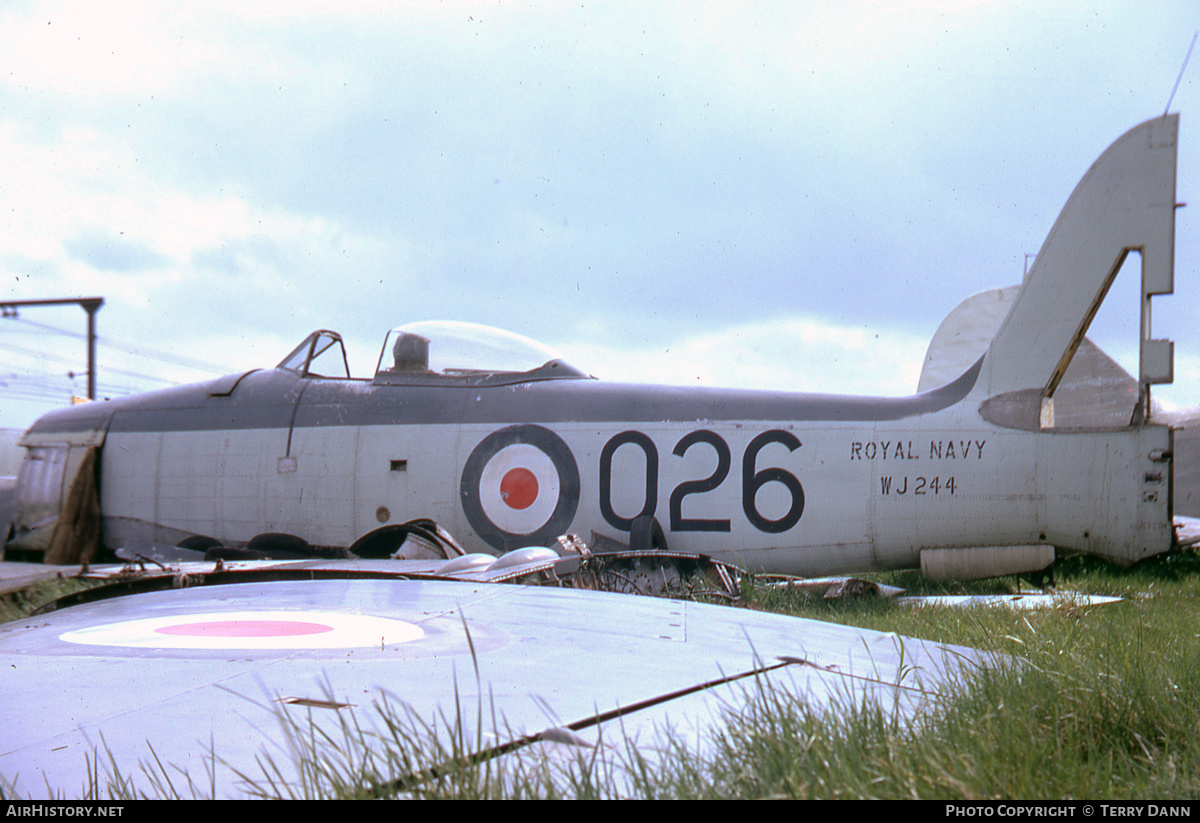 Aircraft Photo of WJ244 | Hawker Sea Fury FB11 | UK - Navy | AirHistory.net #303666
