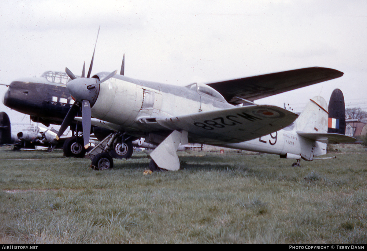 Aircraft Photo of WJ288 | Hawker Sea Fury FB11 | UK - Navy | AirHistory.net #303669