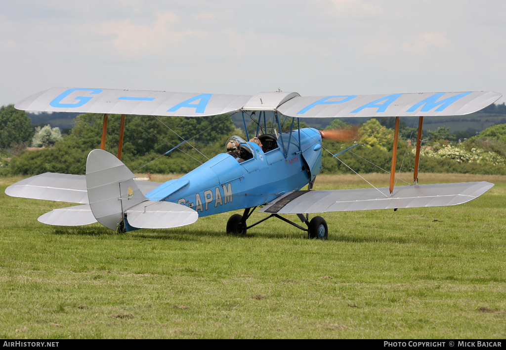 Aircraft Photo of G-APAM | De Havilland D.H. 82A Tiger Moth II | AirHistory.net #303844