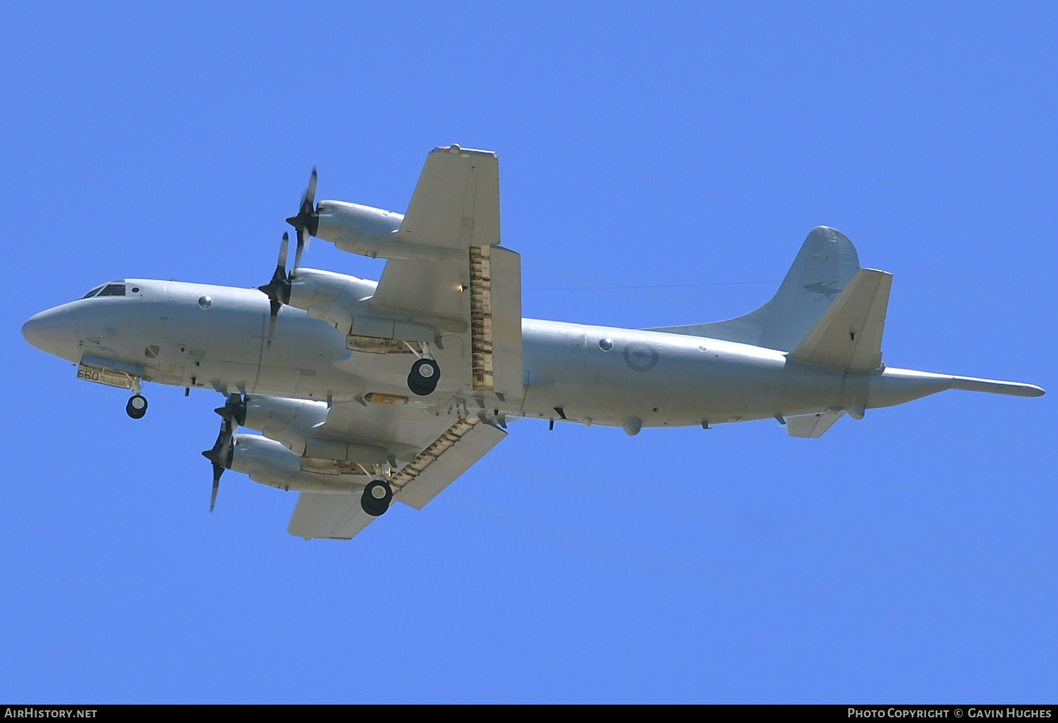 Aircraft Photo of A9-660 | Lockheed P-3C Orion | Australia - Air Force | AirHistory.net #304091