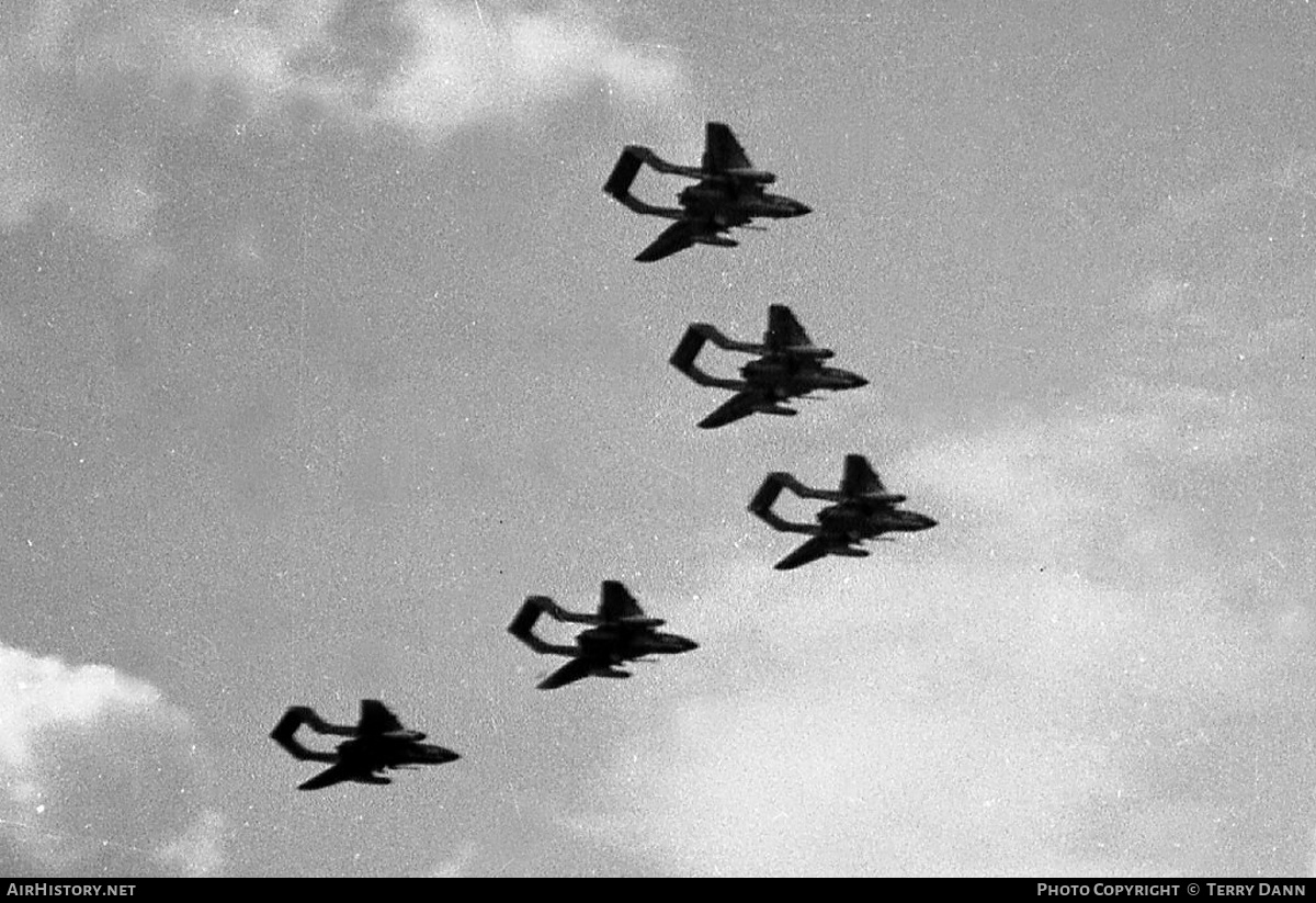 Aircraft Photo of XJ603 | De Havilland D.H. 110 Sea Vixen FAW2 | UK - Navy | AirHistory.net #304511