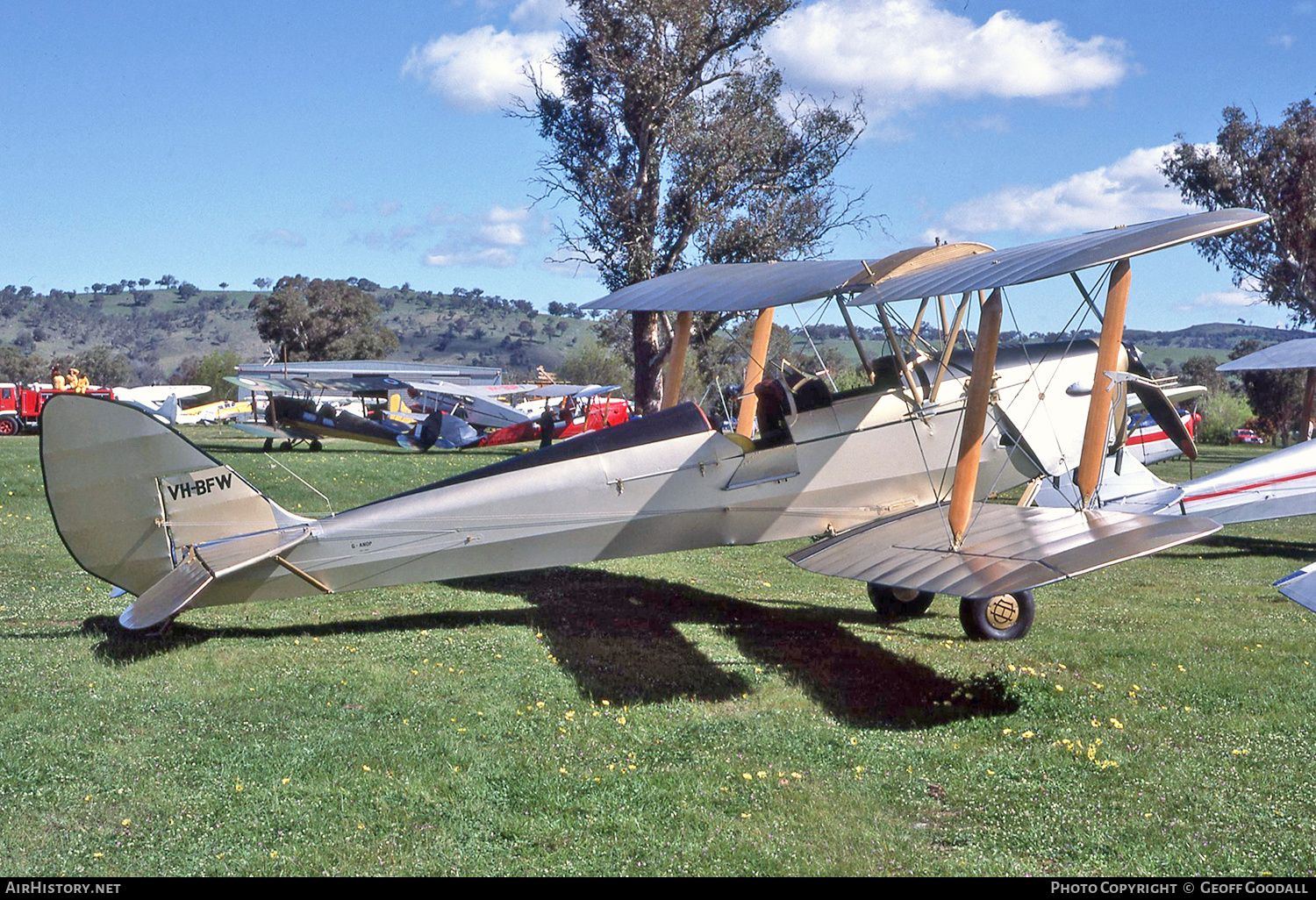 Aircraft Photo of VH-BFW | De Havilland D.H. 82A Tiger Moth | AirHistory.net #307903