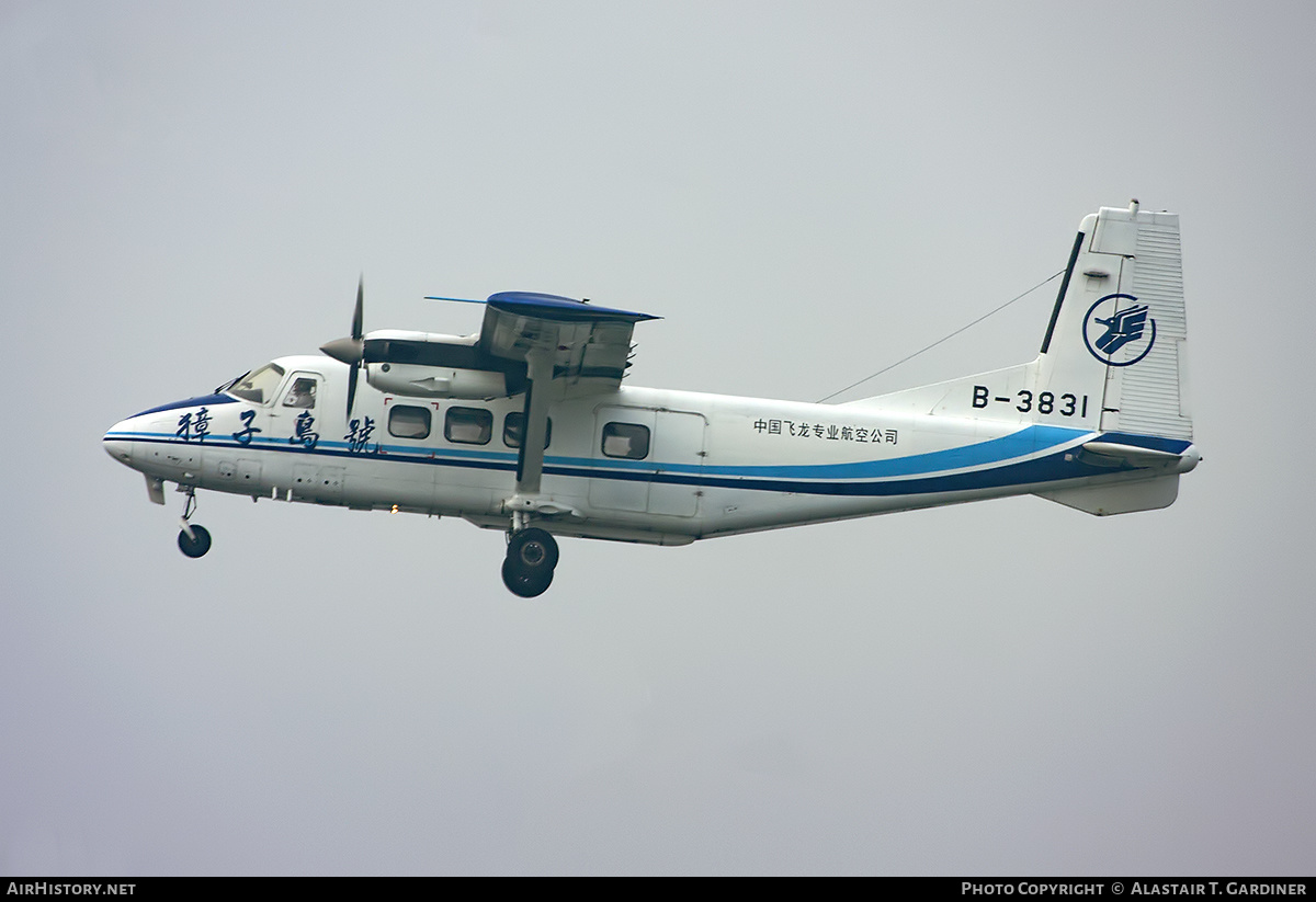 Aircraft Photo of B-3831 | Harbin Y12E | China Flying Dragon Aviation | AirHistory.net #310453