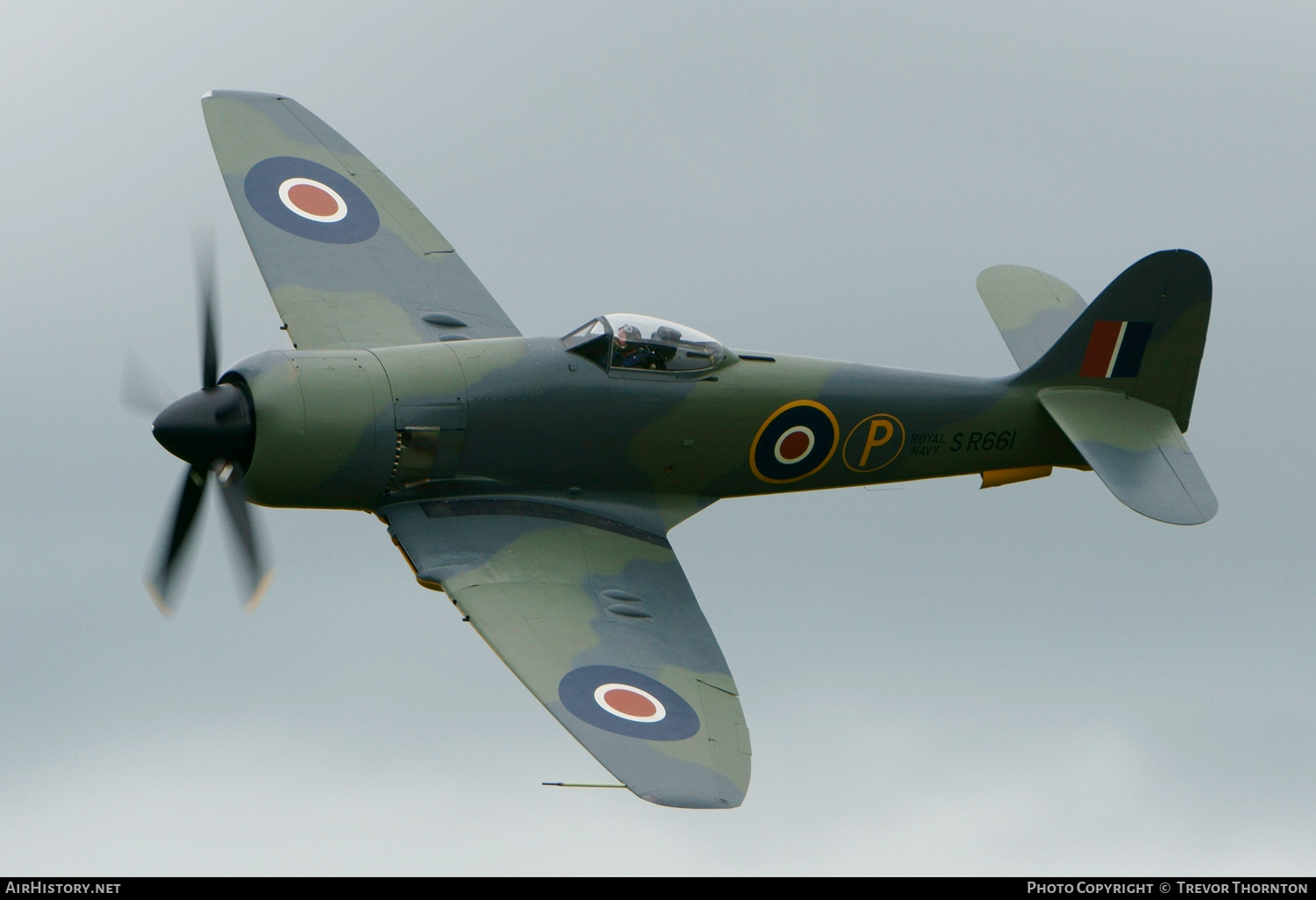 Aircraft Photo of G-CBEL / SR661 | Hawker Sea Fury FB11 | UK - Navy | AirHistory.net #311169
