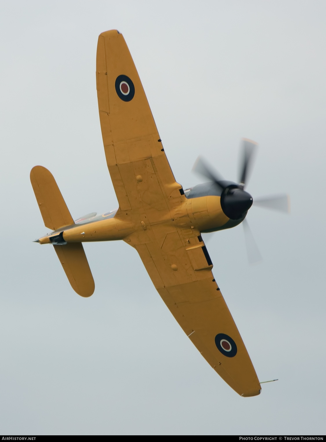 Aircraft Photo of G-CBEL / SR661 | Hawker Sea Fury FB11 | UK - Navy | AirHistory.net #311219