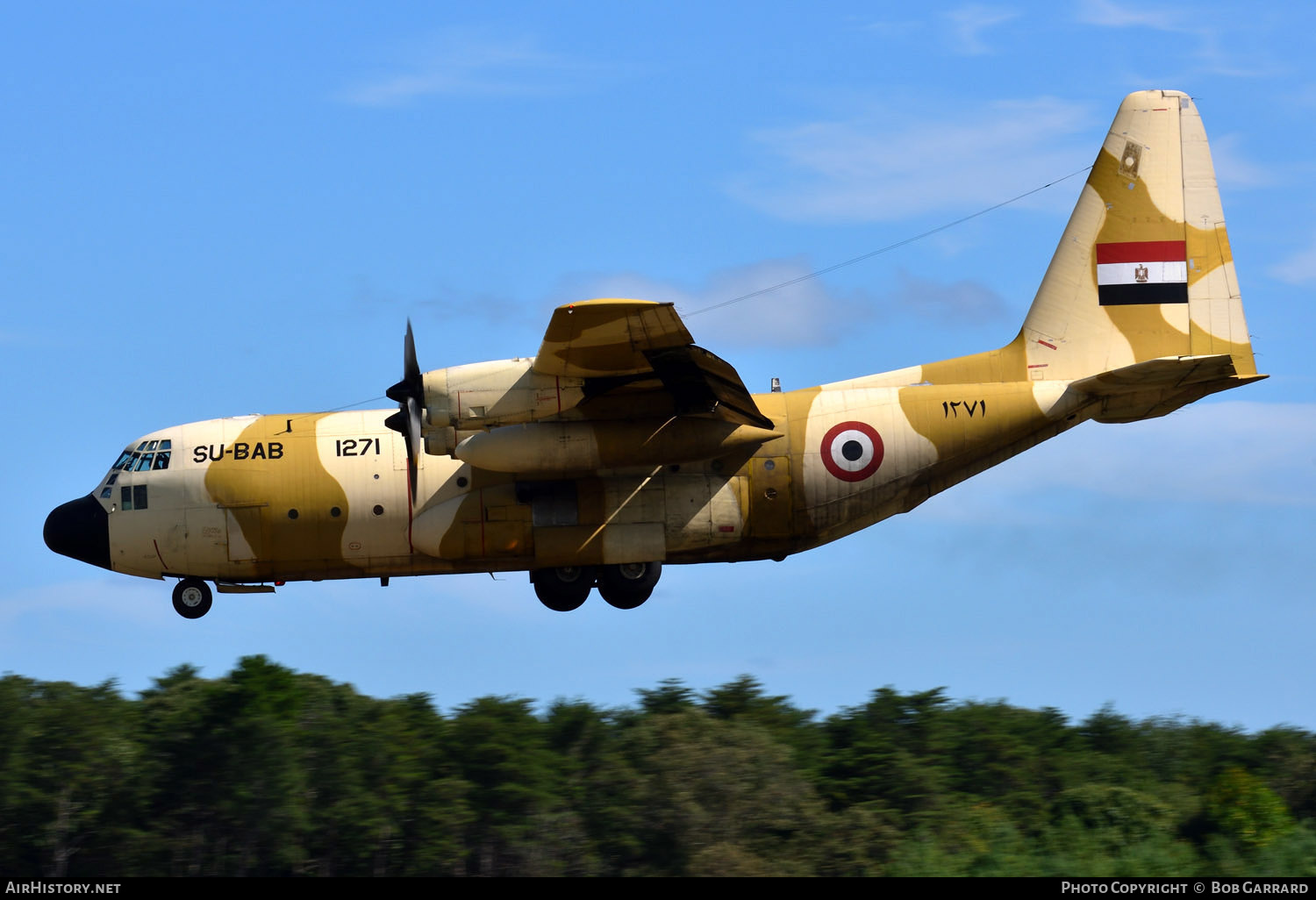 Aircraft Photo of 1271 / ۱۲۷۱ | Lockheed C-130H Hercules | Egypt - Air Force | AirHistory.net #312964