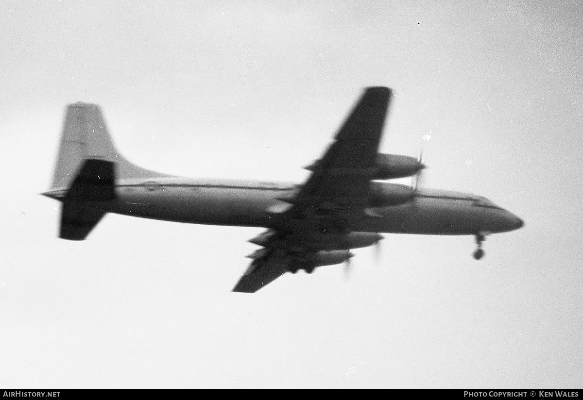 Aircraft Photo of XN392 | Bristol 175 Britannia C.2 (252) | UK - Air Force | AirHistory.net #314832