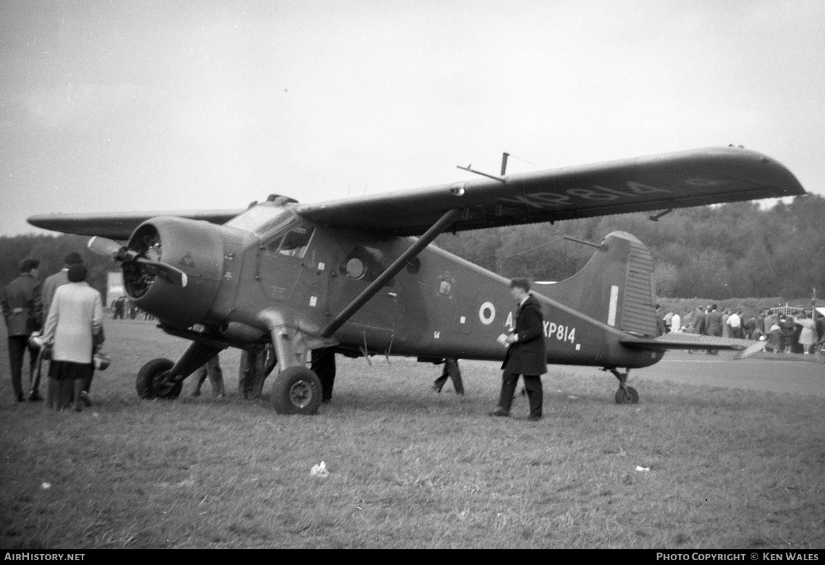 Aircraft Photo of XP814 | De Havilland Canada DHC-2 Beaver AL.1 | UK - Army | AirHistory.net #314845