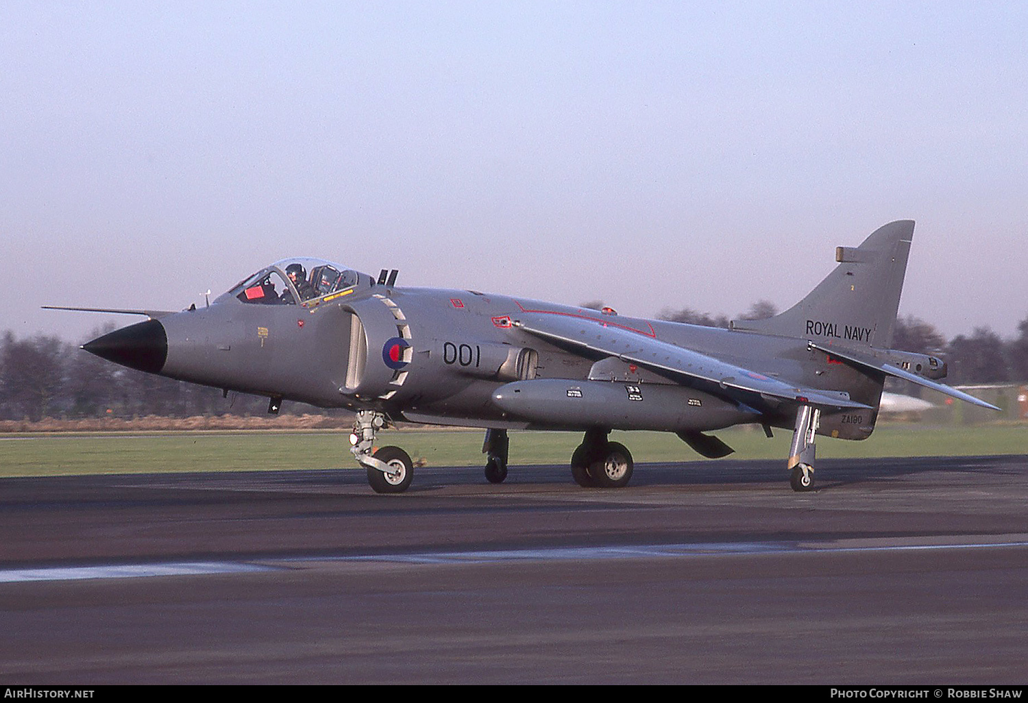 Aircraft Photo of ZA190 | British Aerospace Sea Harrier FRS1 | UK - Navy | AirHistory.net #315828
