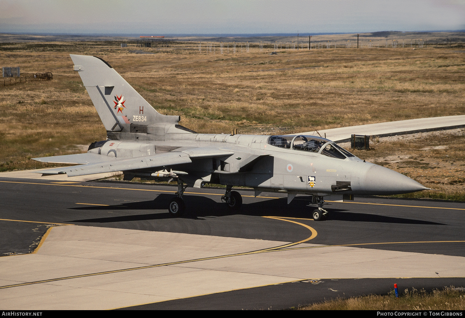 Aircraft Photo of ZE834 | Panavia Tornado F3 | UK - Air Force | AirHistory.net #317163