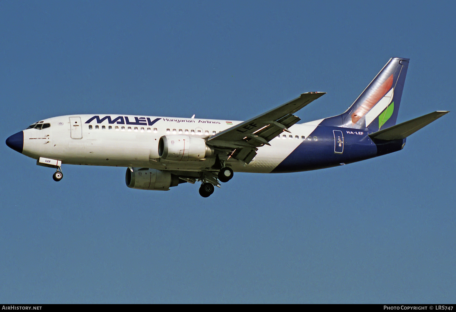 Aircraft Photo of HA-LEF | Boeing 737-3Y0 | Malév - Hungarian Airlines | AirHistory.net #317333