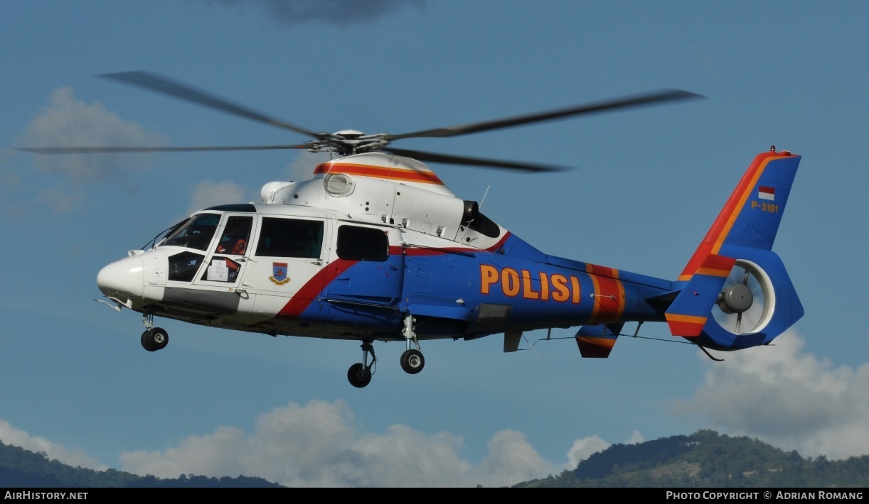 Aircraft Photo of P-3101 | Eurocopter AS-365N-3 Dauphin 2 | Indonesia - Police | AirHistory.net #317429