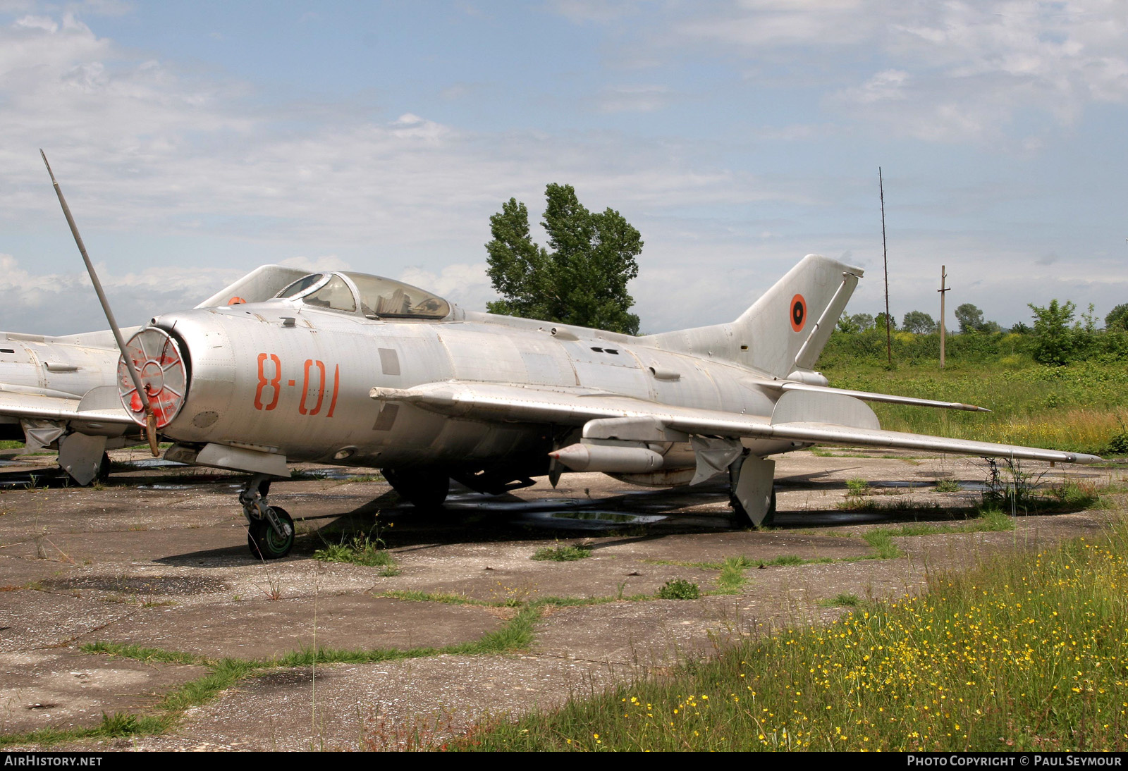 Aircraft Photo of 8-01 | Shenyang F-6 | Albania - Air Force | AirHistory.net #317657