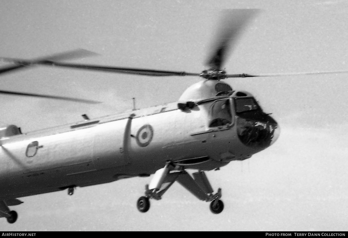 Aircraft Photo of XG451 | Bristol 192 Belvedere HC1 | UK - Air Force | AirHistory.net #318060