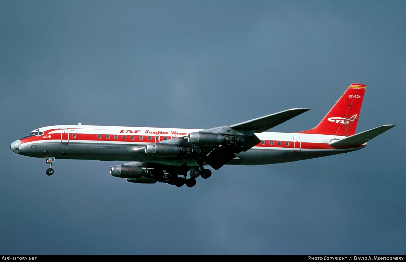 Aircraft Photo of EC-CCN | Douglas DC-8-33 | TAE - Trabajos Aéreos y Enlaces | AirHistory.net #318248