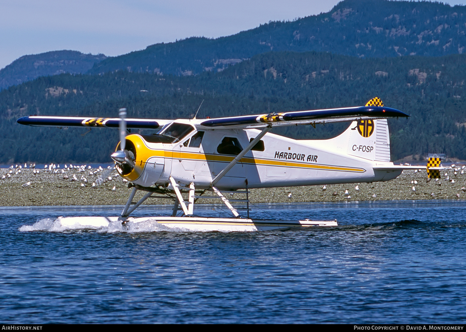Aircraft Photo of C-FOSP | De Havilland Canada DHC-2 Beaver Mk.1 | Harbour Air | AirHistory.net #318635
