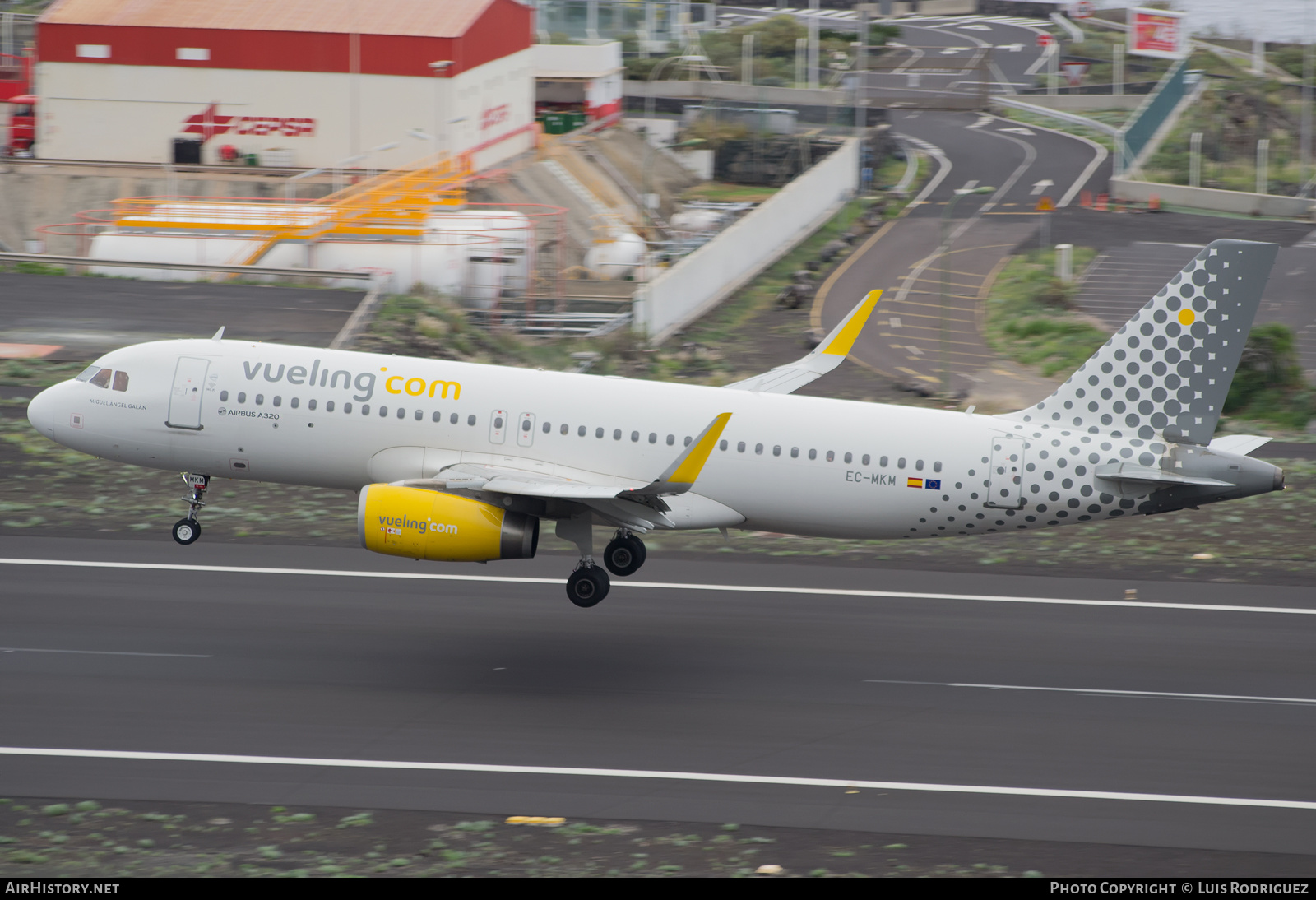 Aircraft Photo of EC-MKM | Airbus A320-232 | Vueling Airlines | AirHistory.net #321330