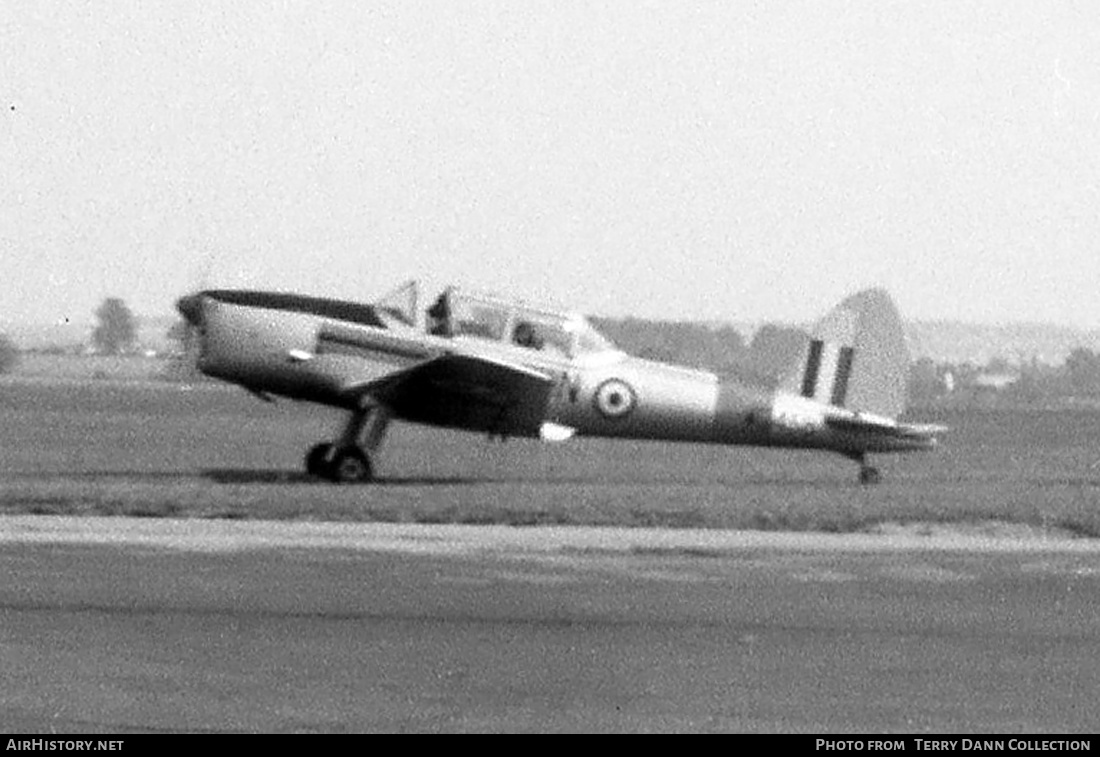 Aircraft Photo of WG458 | De Havilland DHC-1 Chipmunk T10 | UK - Air Force | AirHistory.net #323999