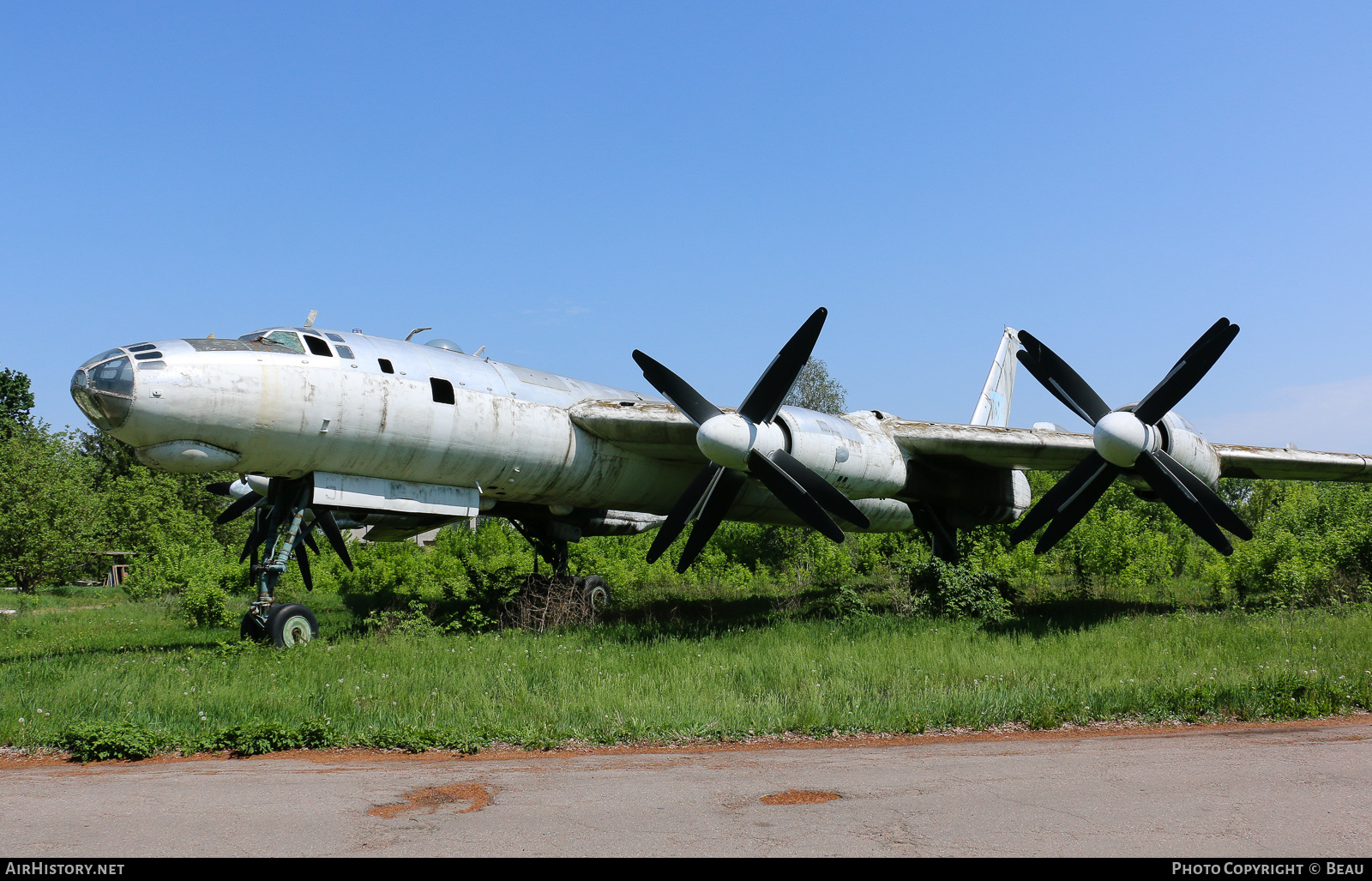 Aircraft Photo of 51 red | Tupolev Tu-95M | Ukraine - Air Force | AirHistory.net #324043