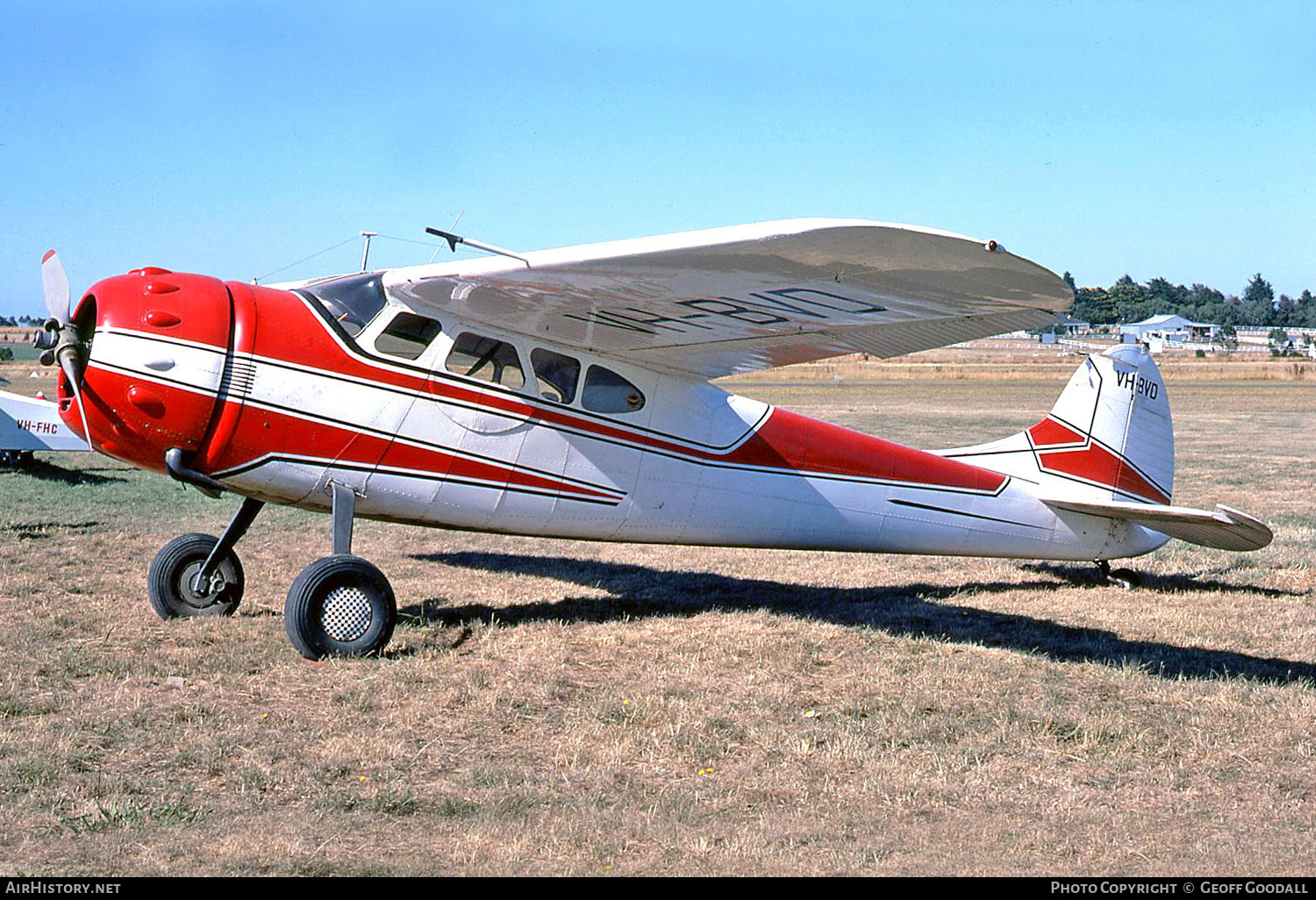 Aircraft Photo of VH-BVD | Cessna 195 | AirHistory.net #324527