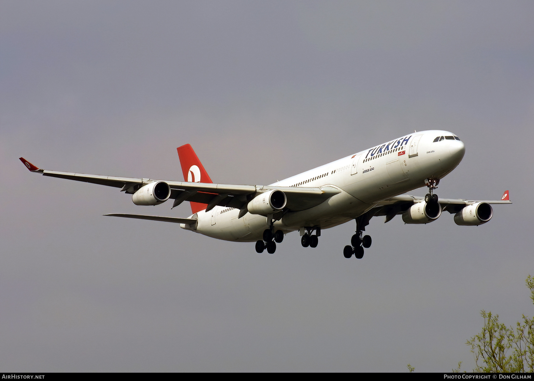 Aircraft Photo of TC-JDL | Airbus A340-311 | Turkish Airlines | AirHistory.net #326027