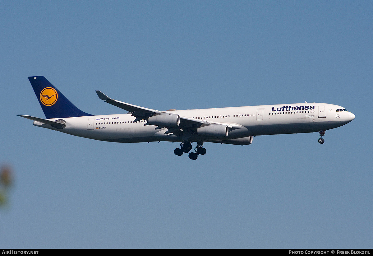 Aircraft Photo of D-AIGF | Airbus A340-311 | Lufthansa | AirHistory.net #327684