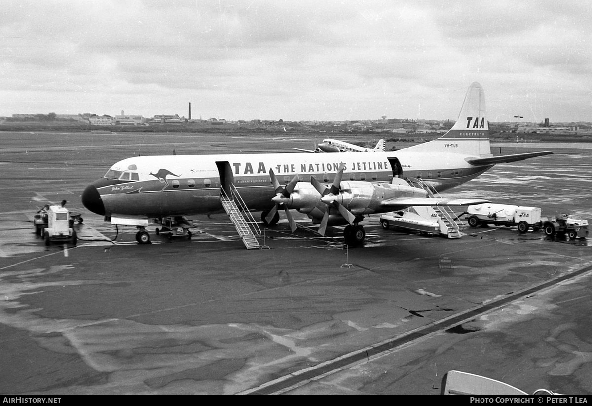 Aircraft Photo of VH-TLB | Lockheed L-188A Electra | Trans-Australia Airlines - TAA | AirHistory.net #328514