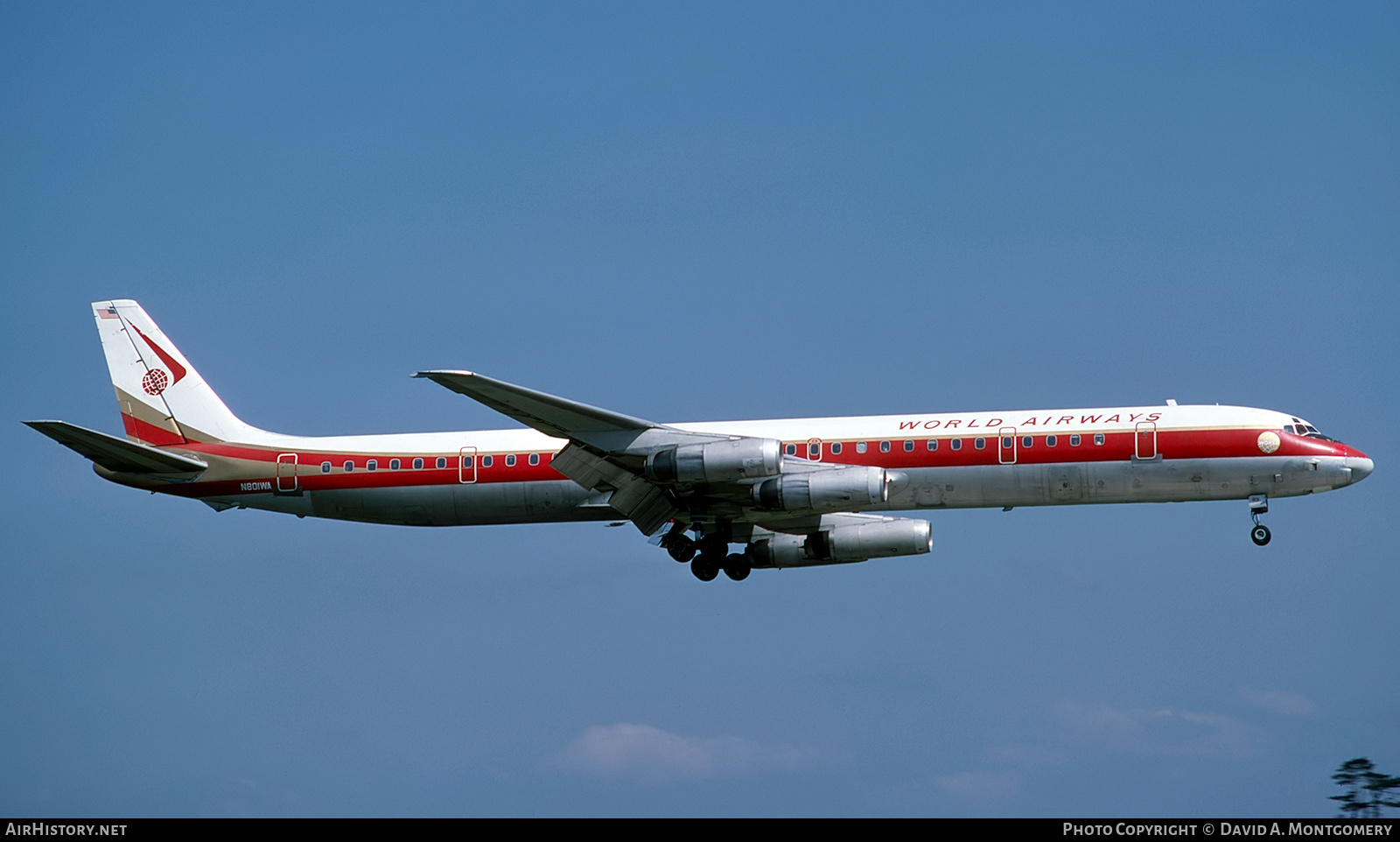 Aircraft Photo of N801WA | McDonnell Douglas DC-8-63CF | World Airways | AirHistory.net #328621