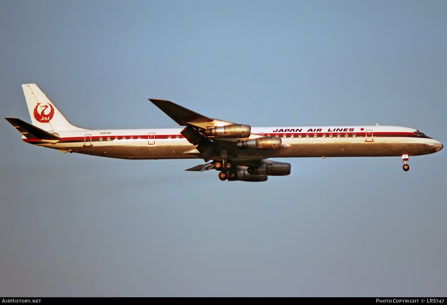 Aircraft Photo of JA8046 | McDonnell Douglas DC-8-61 | Japan Air Lines - JAL | AirHistory.net #331554